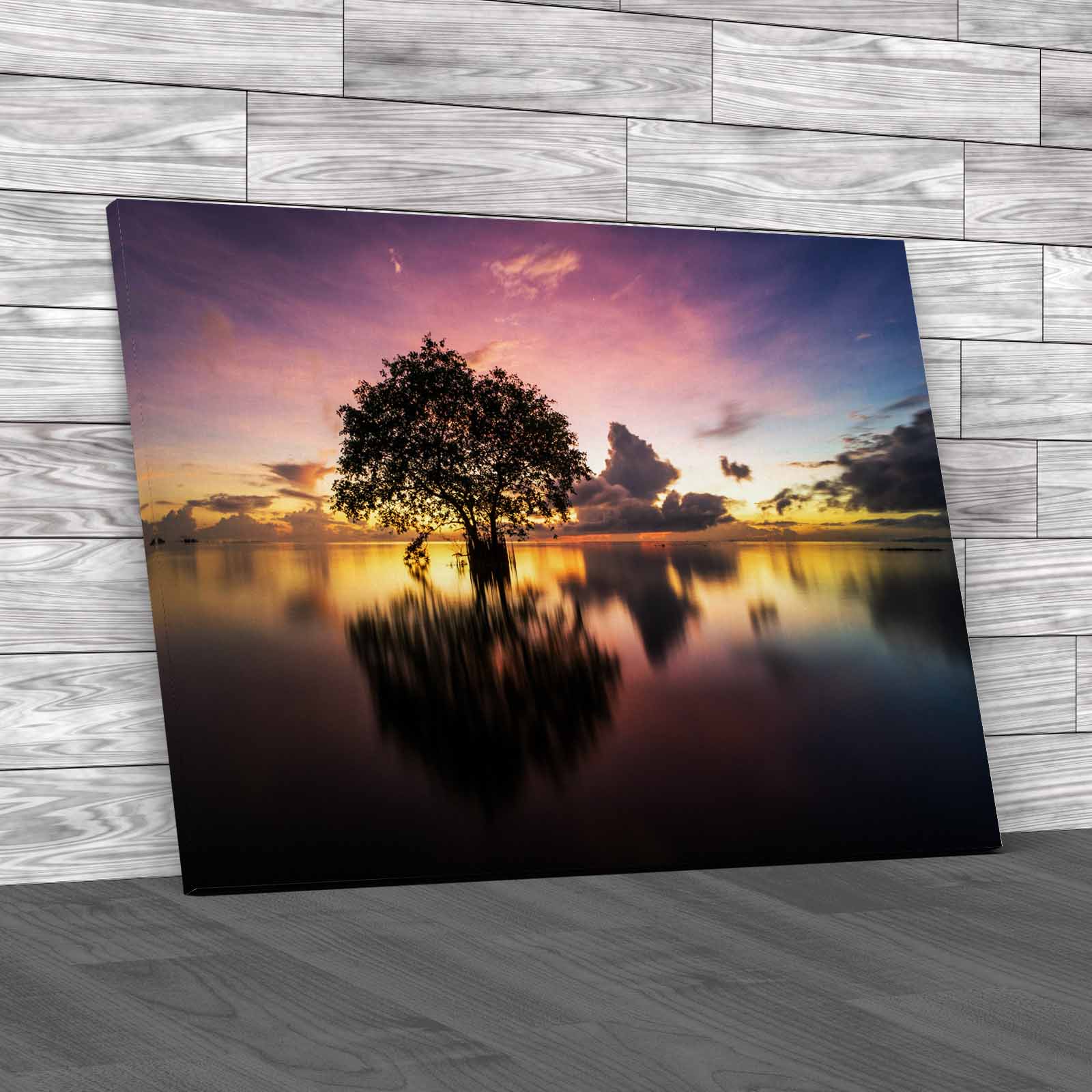 The Serene Beauty Of Thailand's Cork Tree Canvas Print Large Picture ...