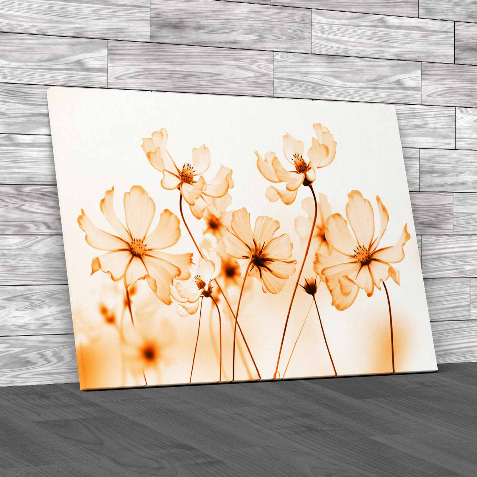 Floral Flower Discover The Beauty Of Nature Meta Canvas Print Large Picture