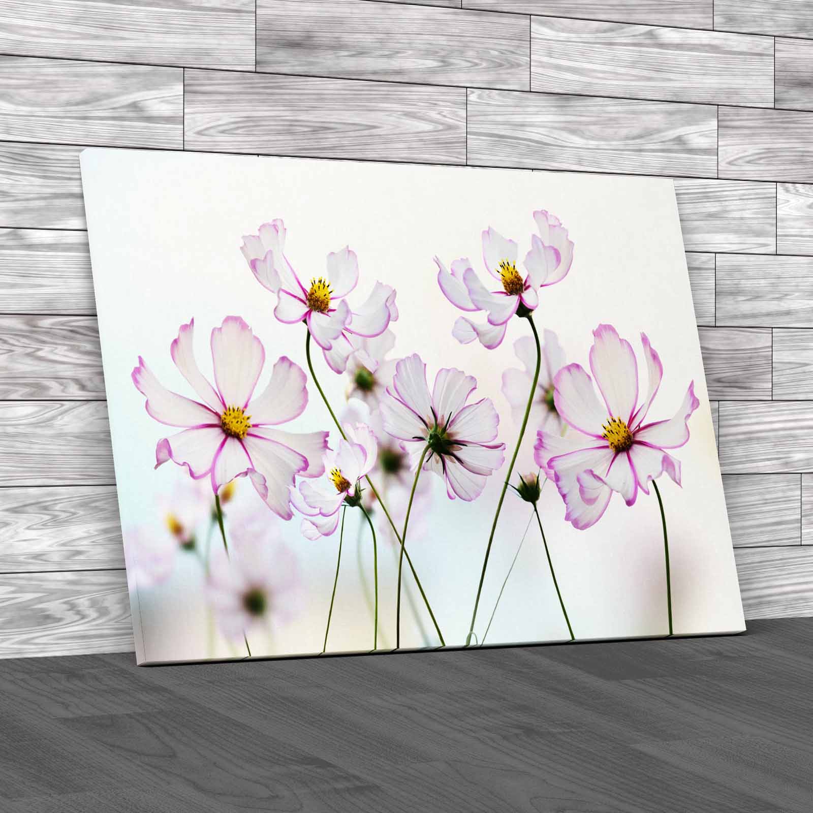 Floral Flower Discover The Beauty Of Nature Meta Canvas Print Large Picture