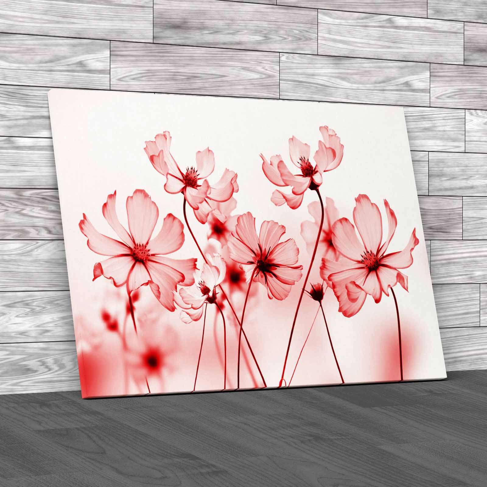 Floral Flower Discover The Beauty Of Nature Meta Canvas Print Large Picture
