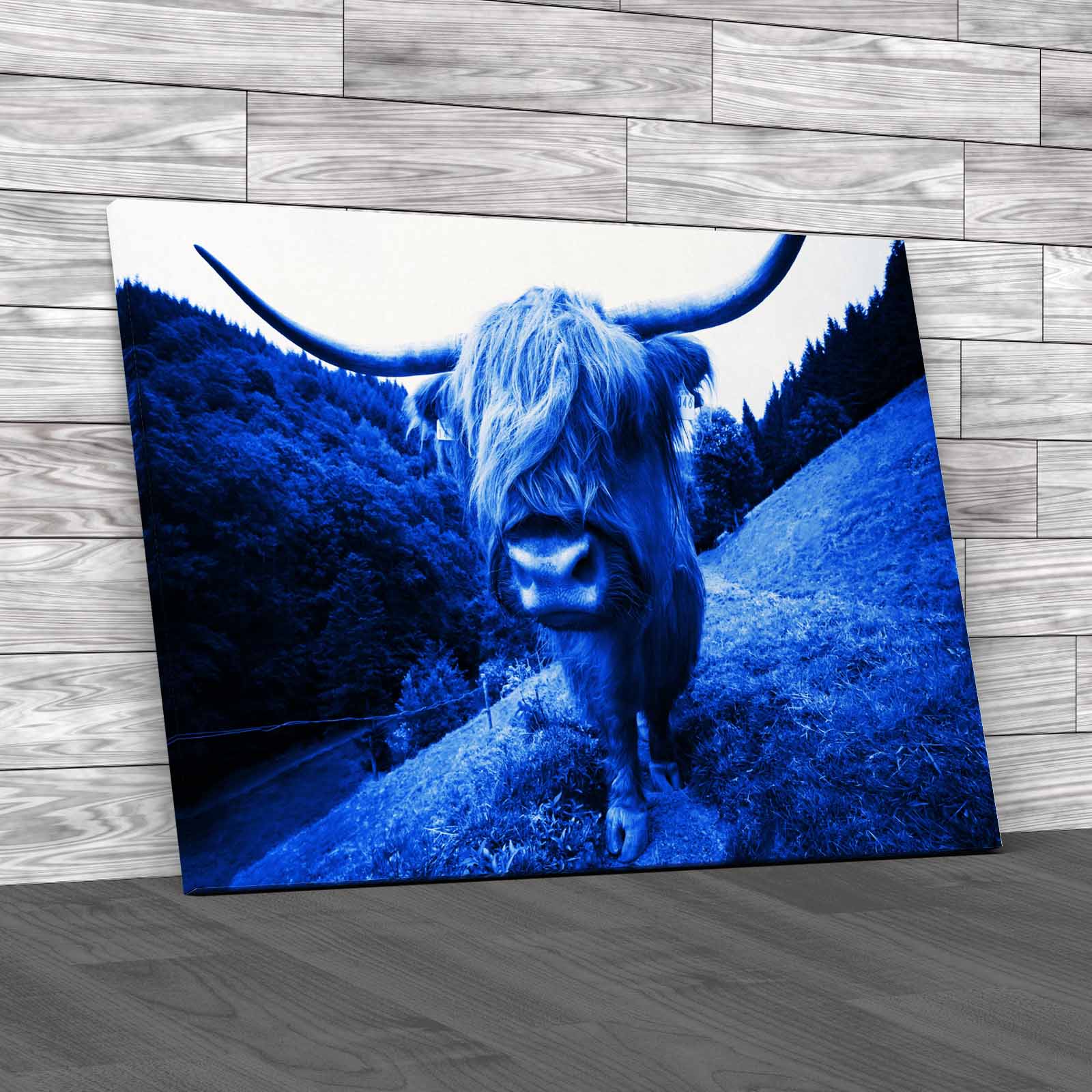 Discover The Beauty Of Highland Cow Wildlife Canvas Print Large Picture Wall Art - Picture 5 of 12