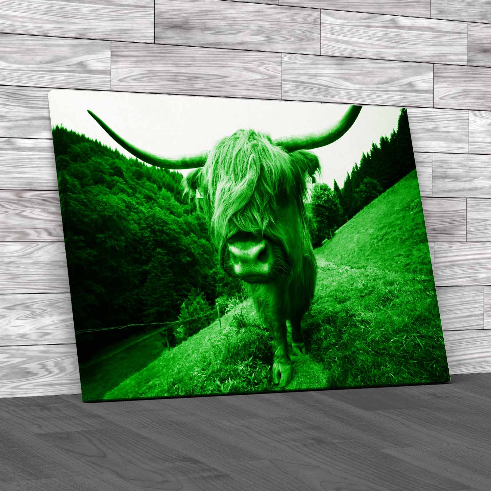 Discover The Beauty Of Highland Cow Wildlife Canvas Print Large Picture Wall Art - Picture 7 of 12