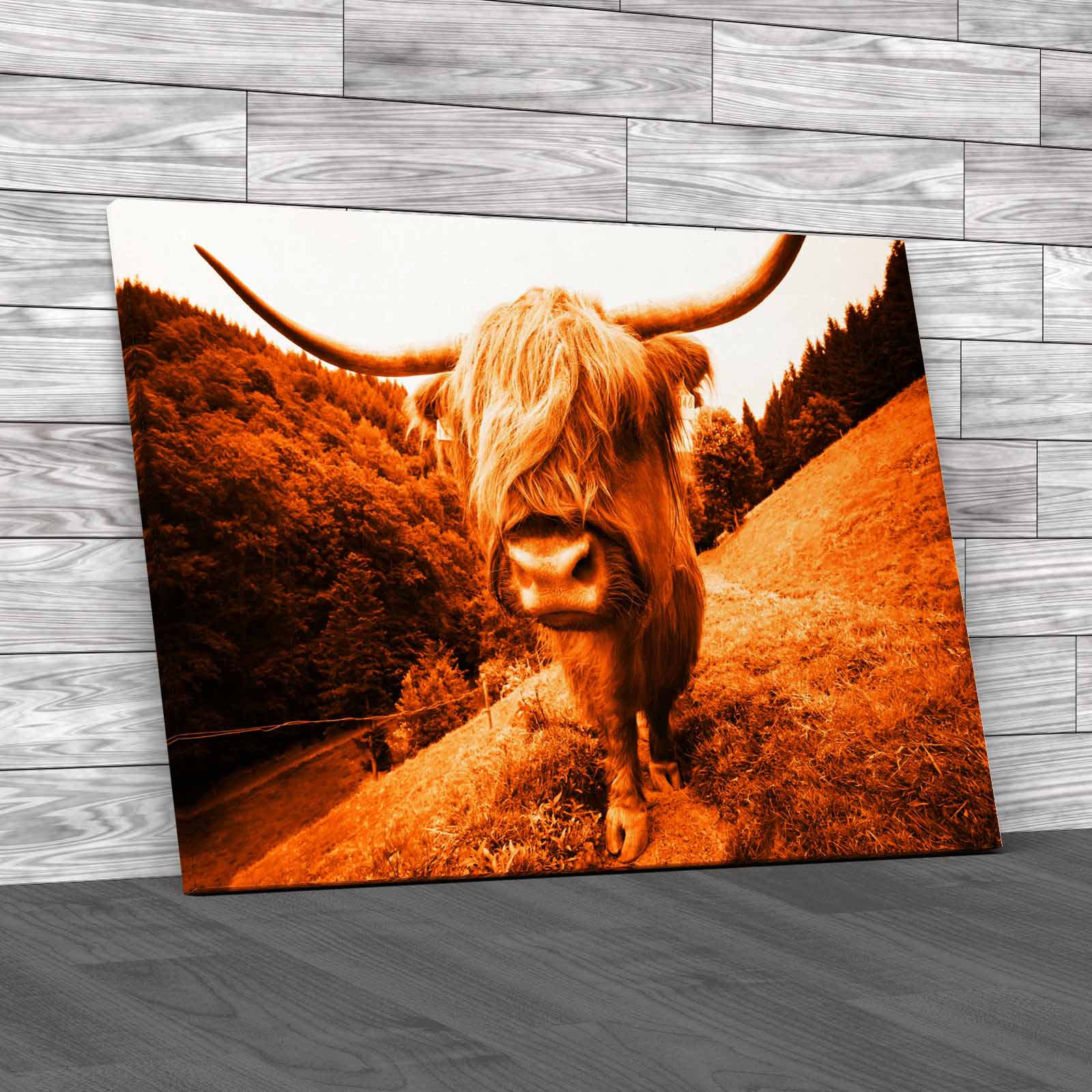 Discover The Beauty Of Highland Cow Wildlife Canvas Print Large Picture Wall Art - Picture 11 of 12