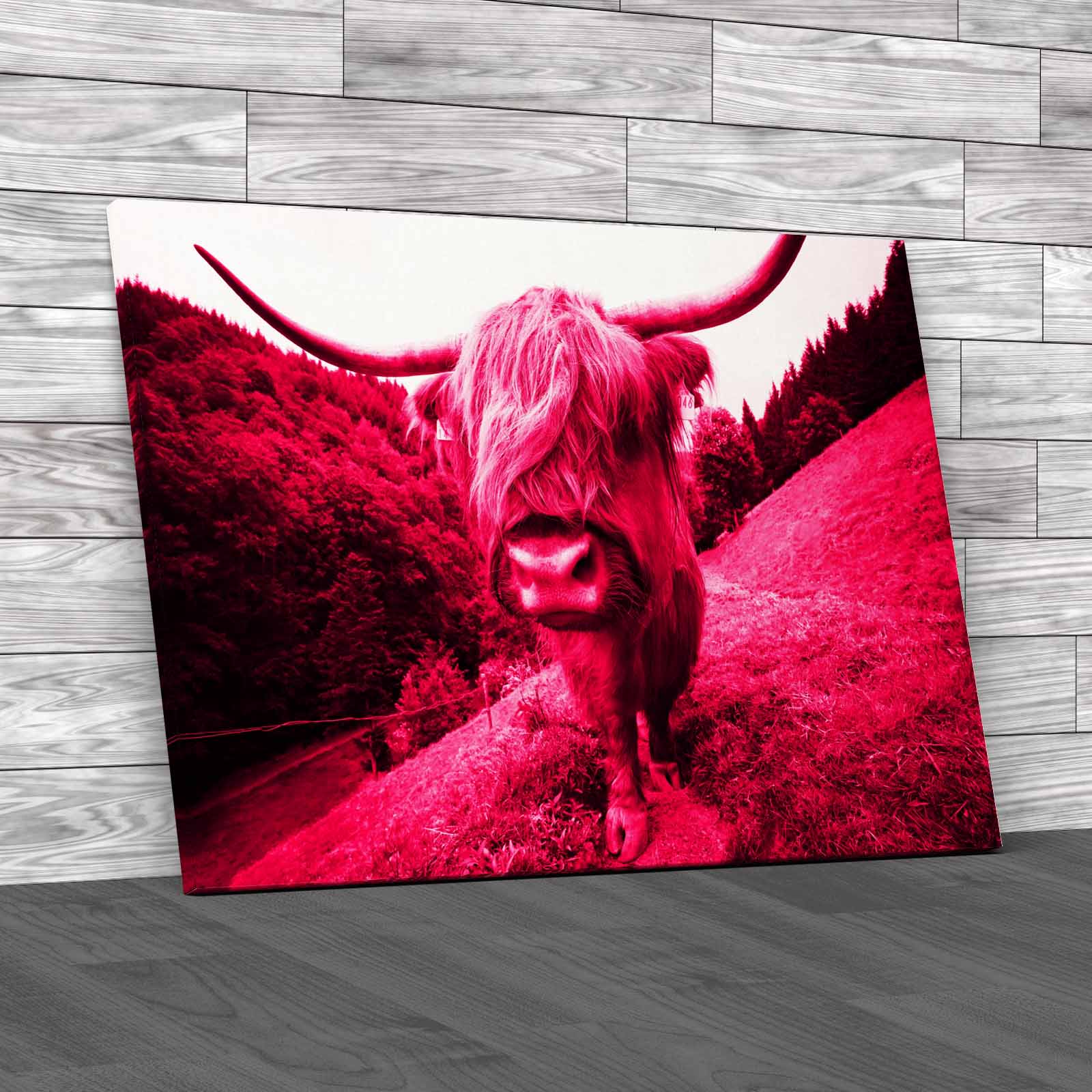 Discover The Beauty Of Highland Cow Wildlife Canvas Print Large Picture Wall Art - Picture 9 of 12