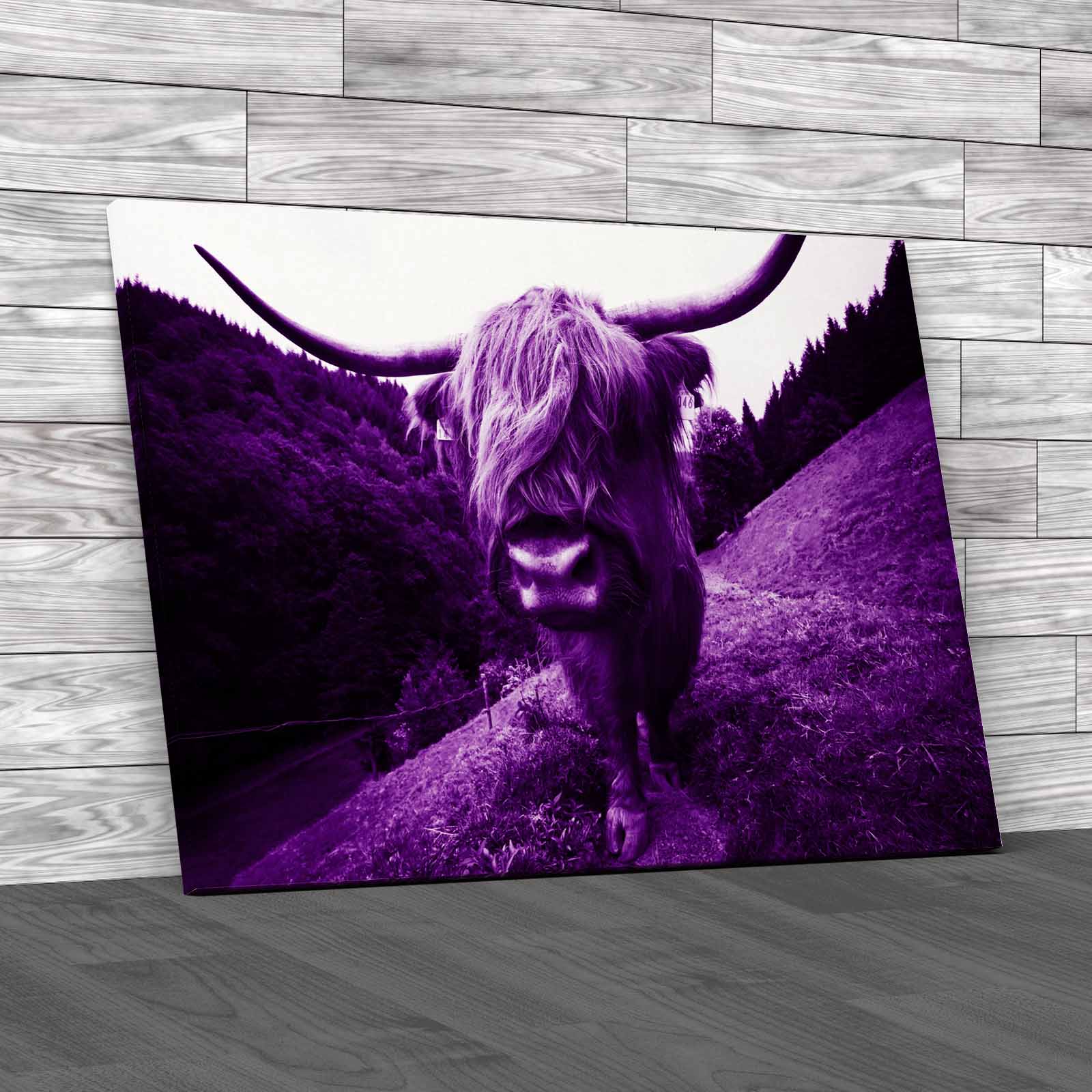 Discover The Beauty Of Highland Cow Wildlife Canvas Print Large Picture Wall Art - Picture 8 of 12
