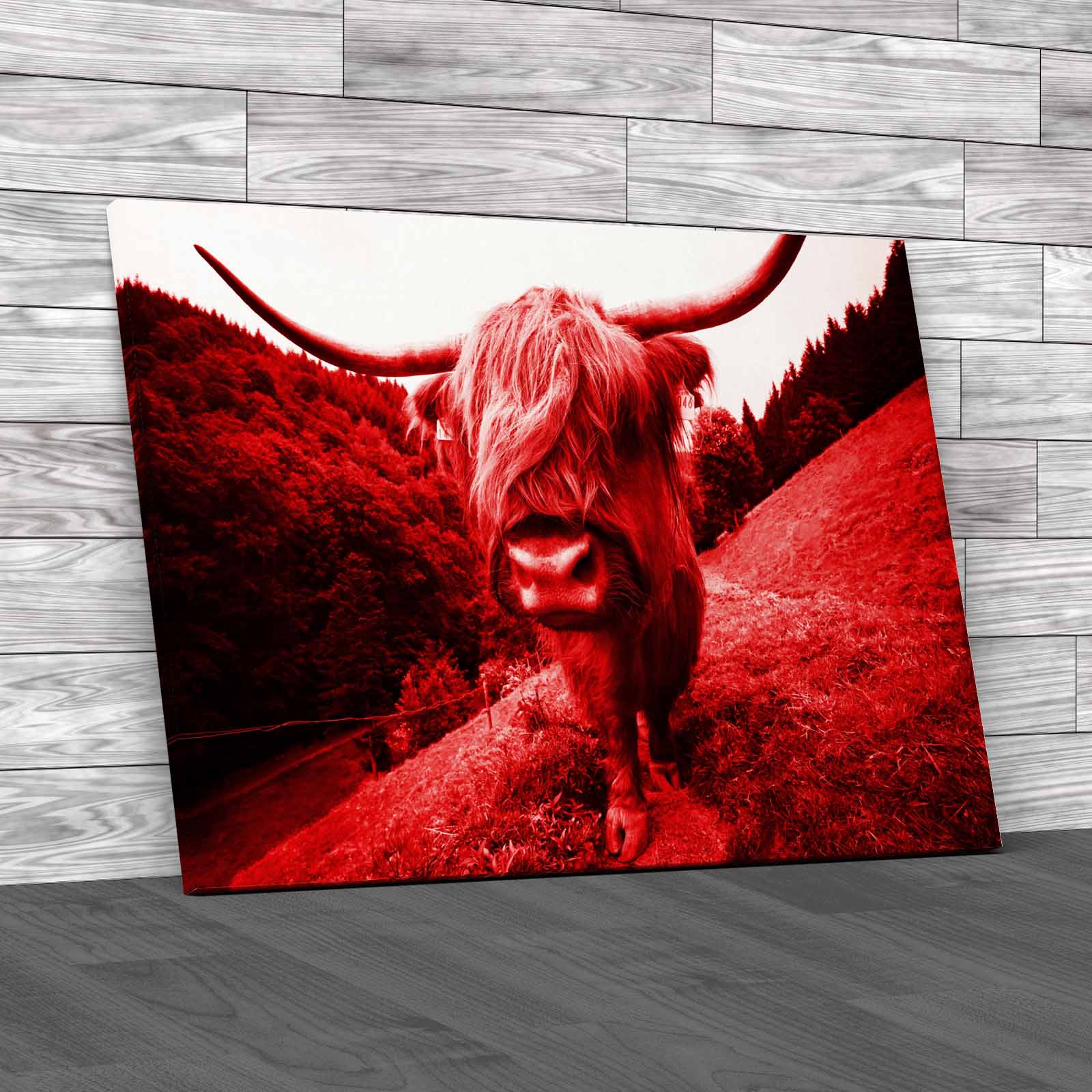 Discover The Beauty Of Highland Cow Wildlife Canvas Print Large Picture Wall Art - Picture 4 of 12