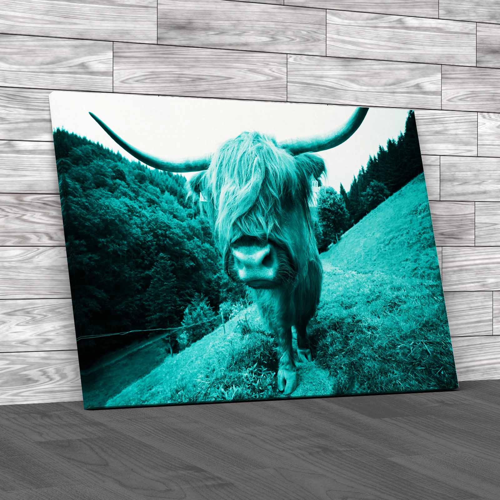 Discover The Beauty Of Highland Cow Wildlife Canvas Print Large Picture Wall Art - Picture 6 of 12
