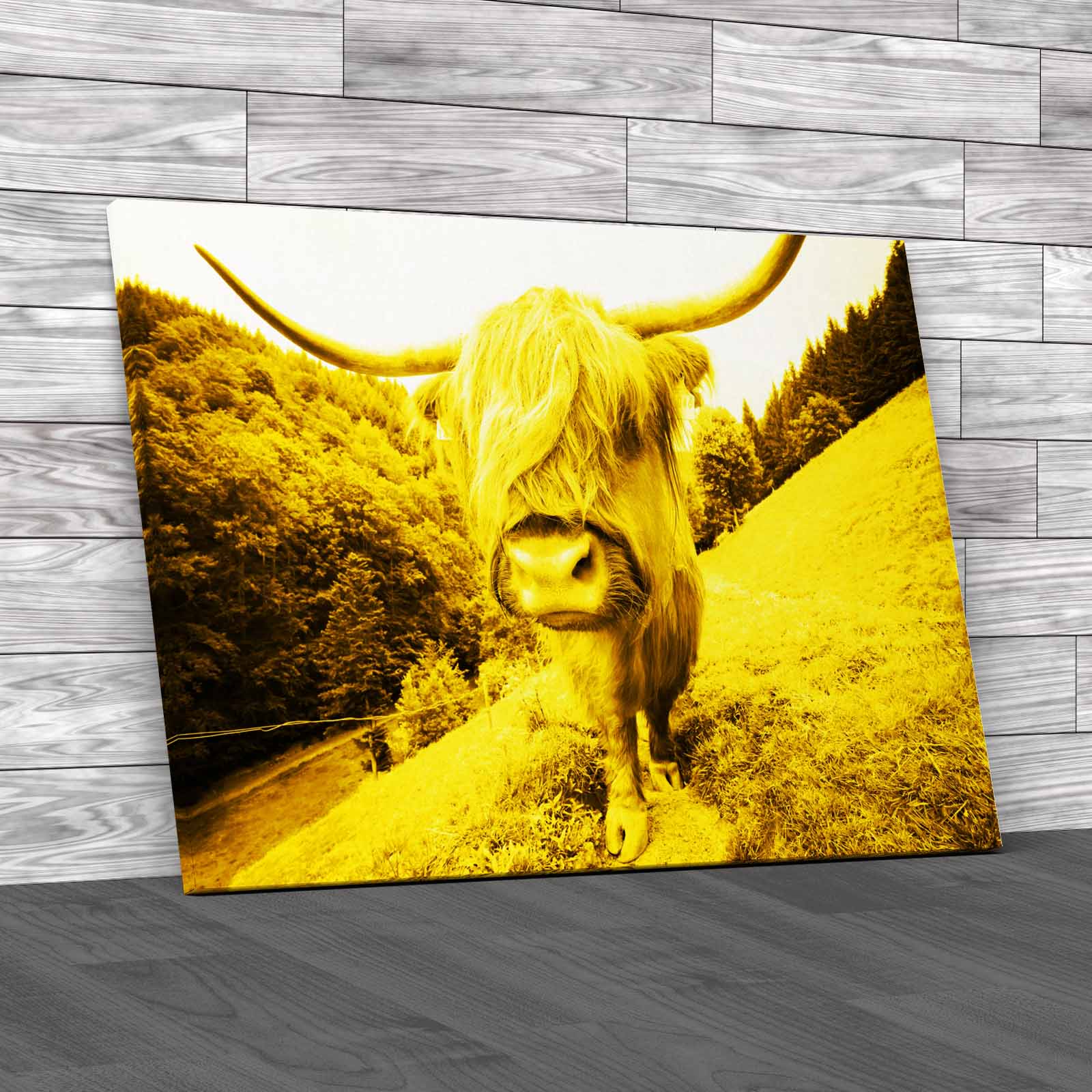 Discover The Beauty Of Highland Cow Wildlife Canvas Print Large Picture Wall Art - Picture 10 of 12