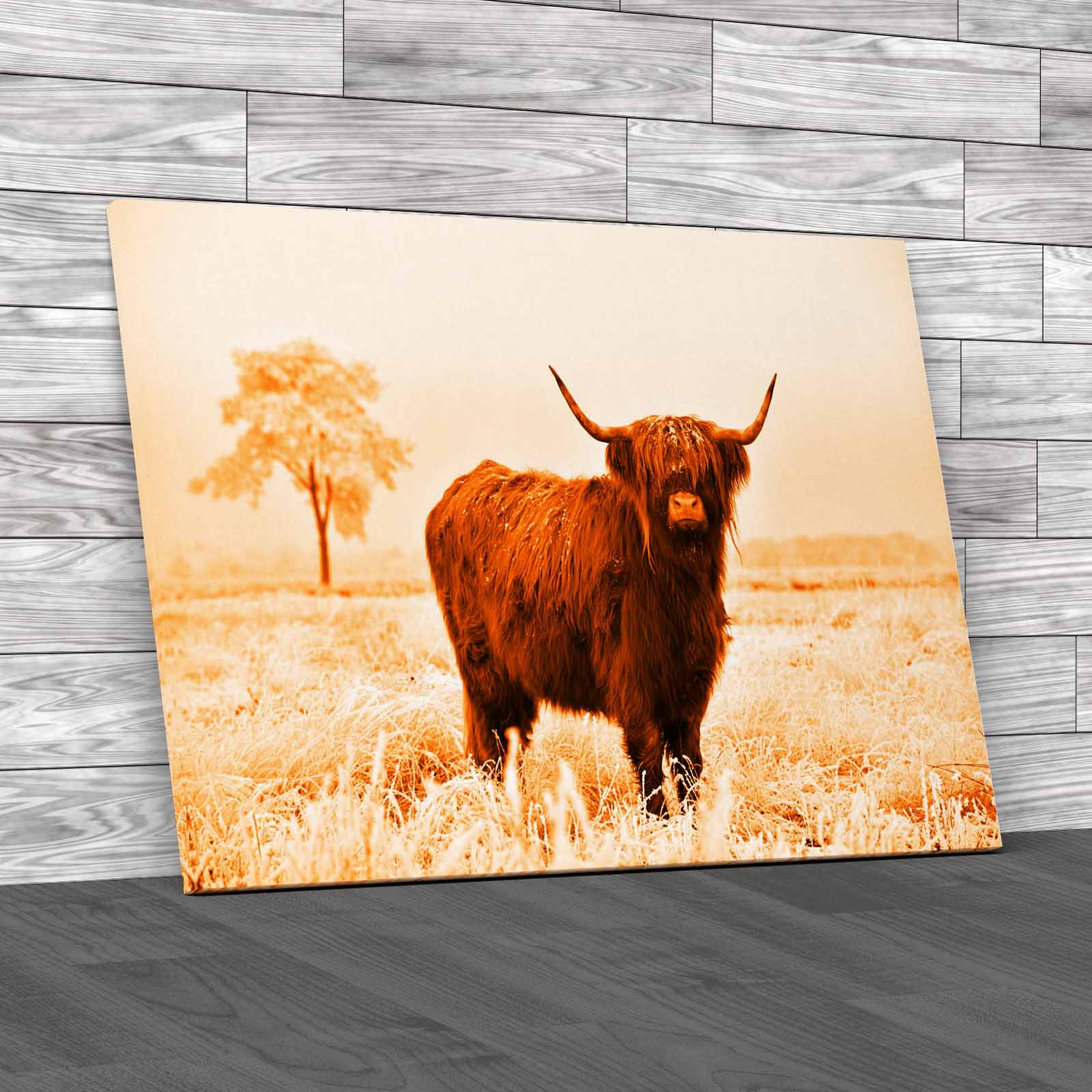 Captivating Highland Cow In Winter A Majestic Canvas Print Large Picture Wall - Picture 11 of 12