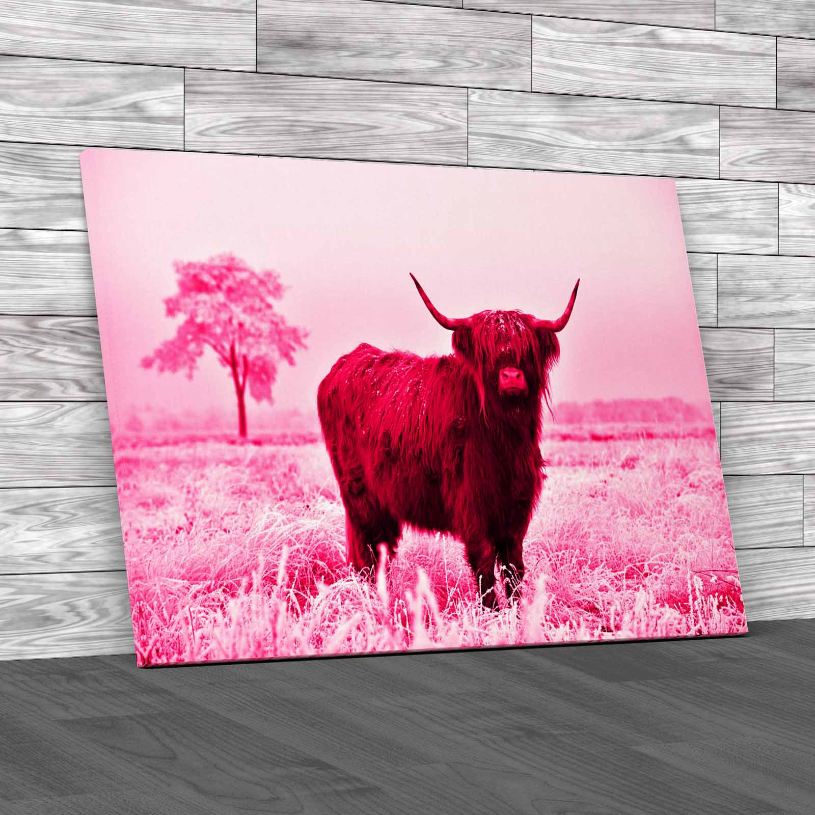 Captivating Highland Cow In Winter A Majestic Canvas Print Large Picture Wall - Picture 9 of 12