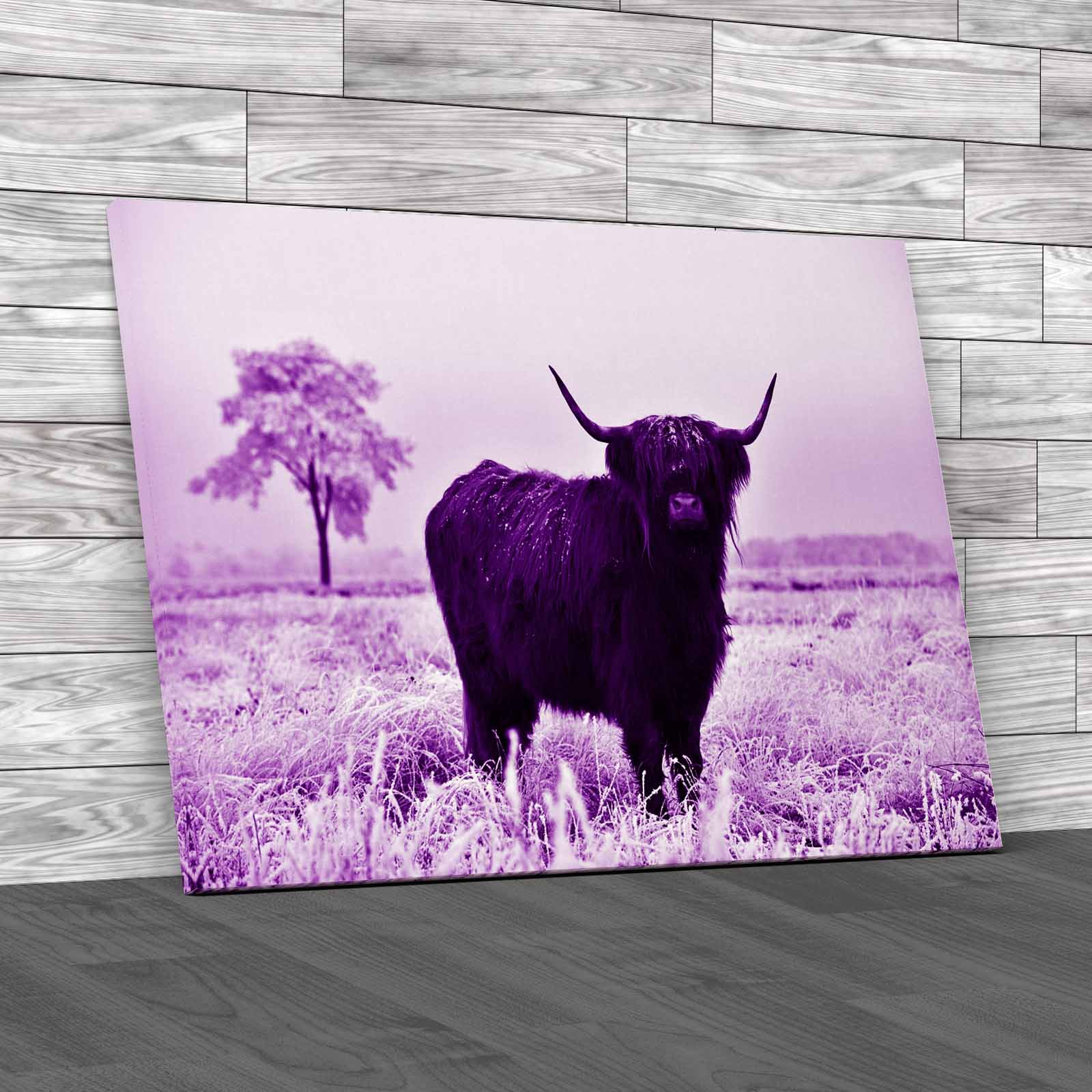 Captivating Highland Cow In Winter A Majestic Canvas Print Large Picture Wall - Picture 8 of 12