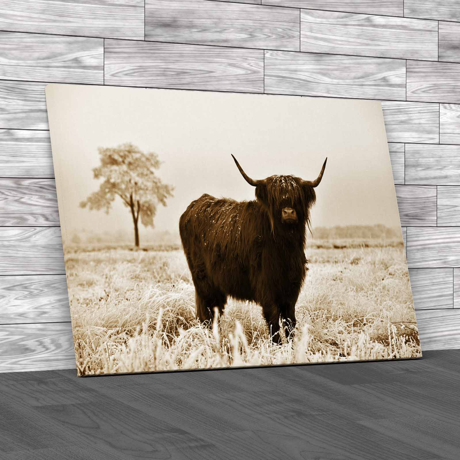Captivating Highland Cow In Winter A Majestic Canvas Print Large Picture Wall - Picture 12 of 12