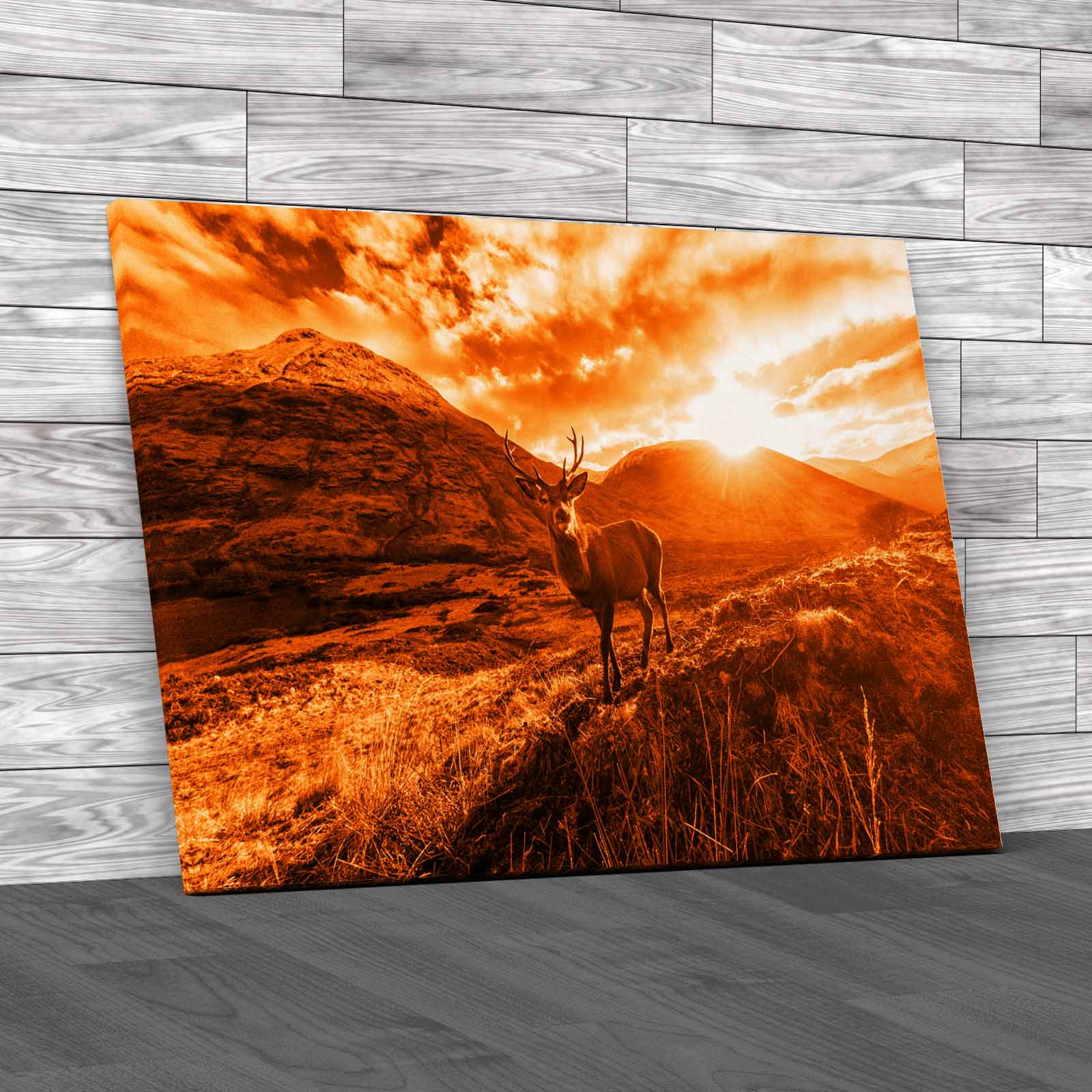 Stag On Mountain Captivating Animal Canvas Print Large Picture Wall Art - Picture 11 of 12