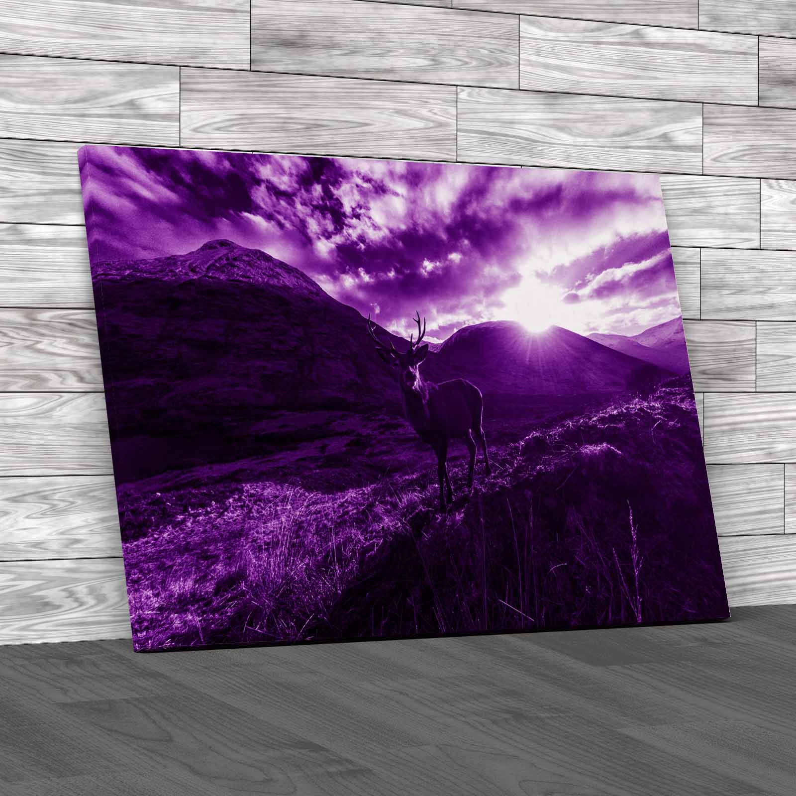 Stag On Mountain Captivating Animal Canvas Print Large Picture Wall Art - Picture 8 of 12