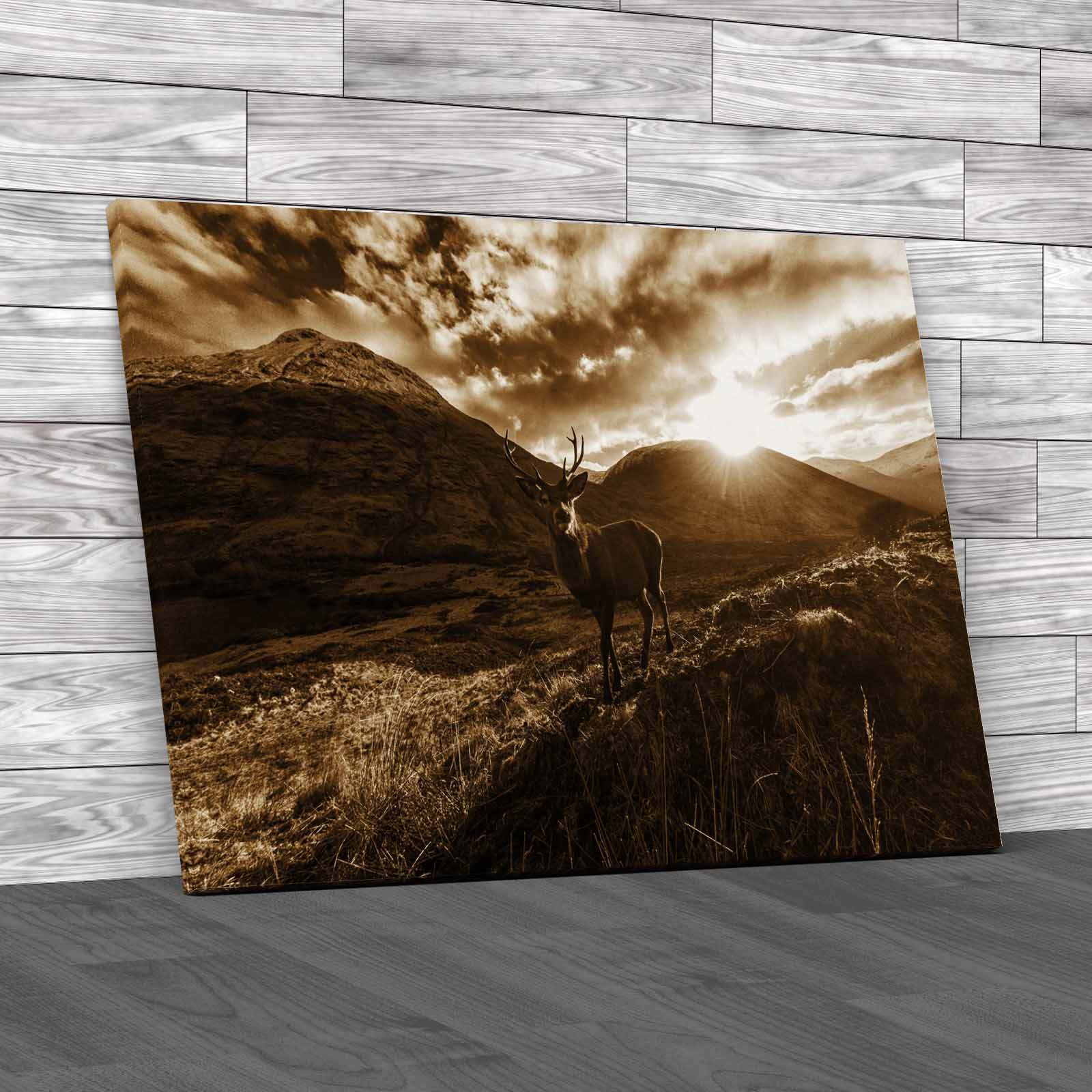 Stag On Mountain Captivating Animal Canvas Print Large Picture Wall Art - Picture 12 of 12