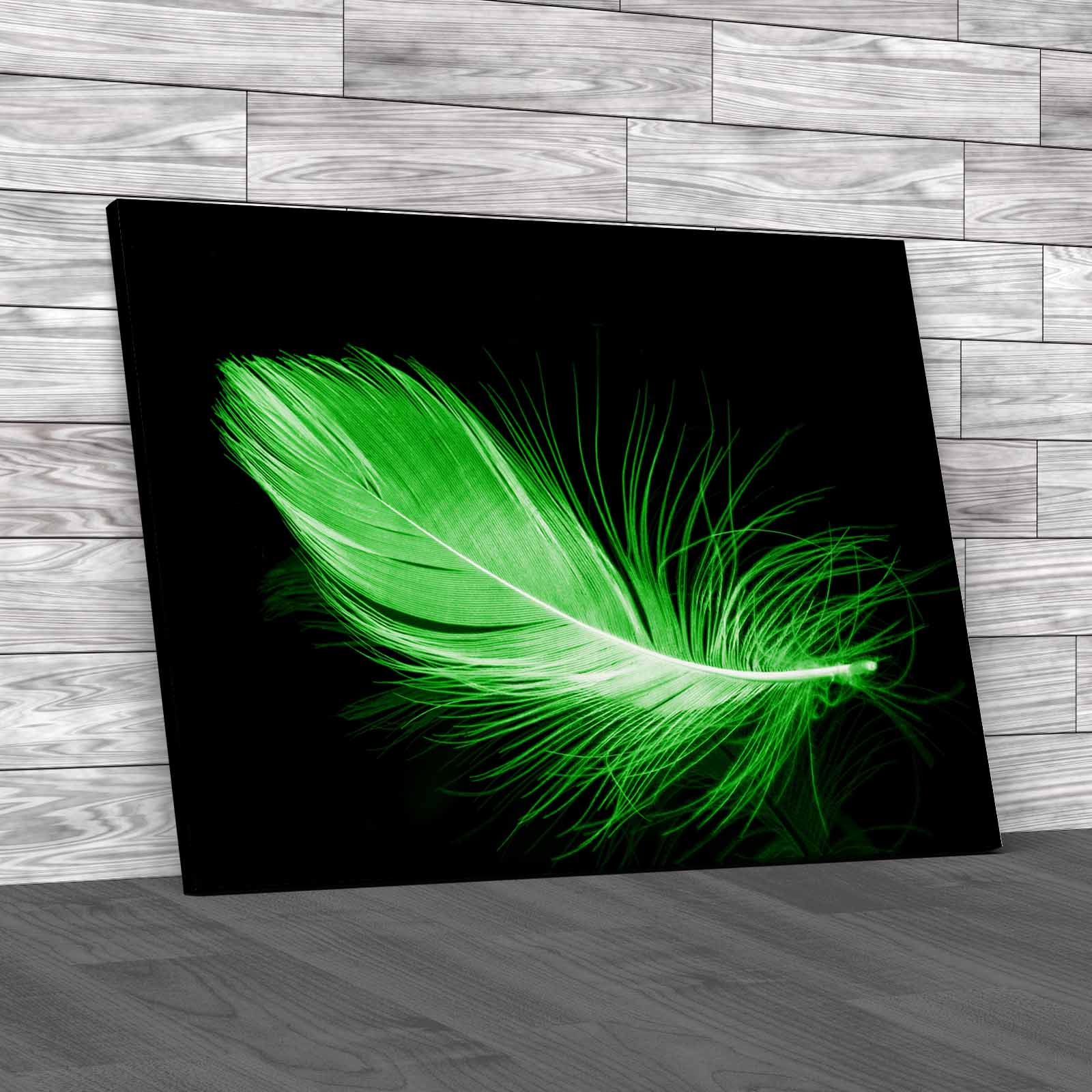 Feather Fashion Beautiful Elegant Accessories Canvas Print Large Picture Wall