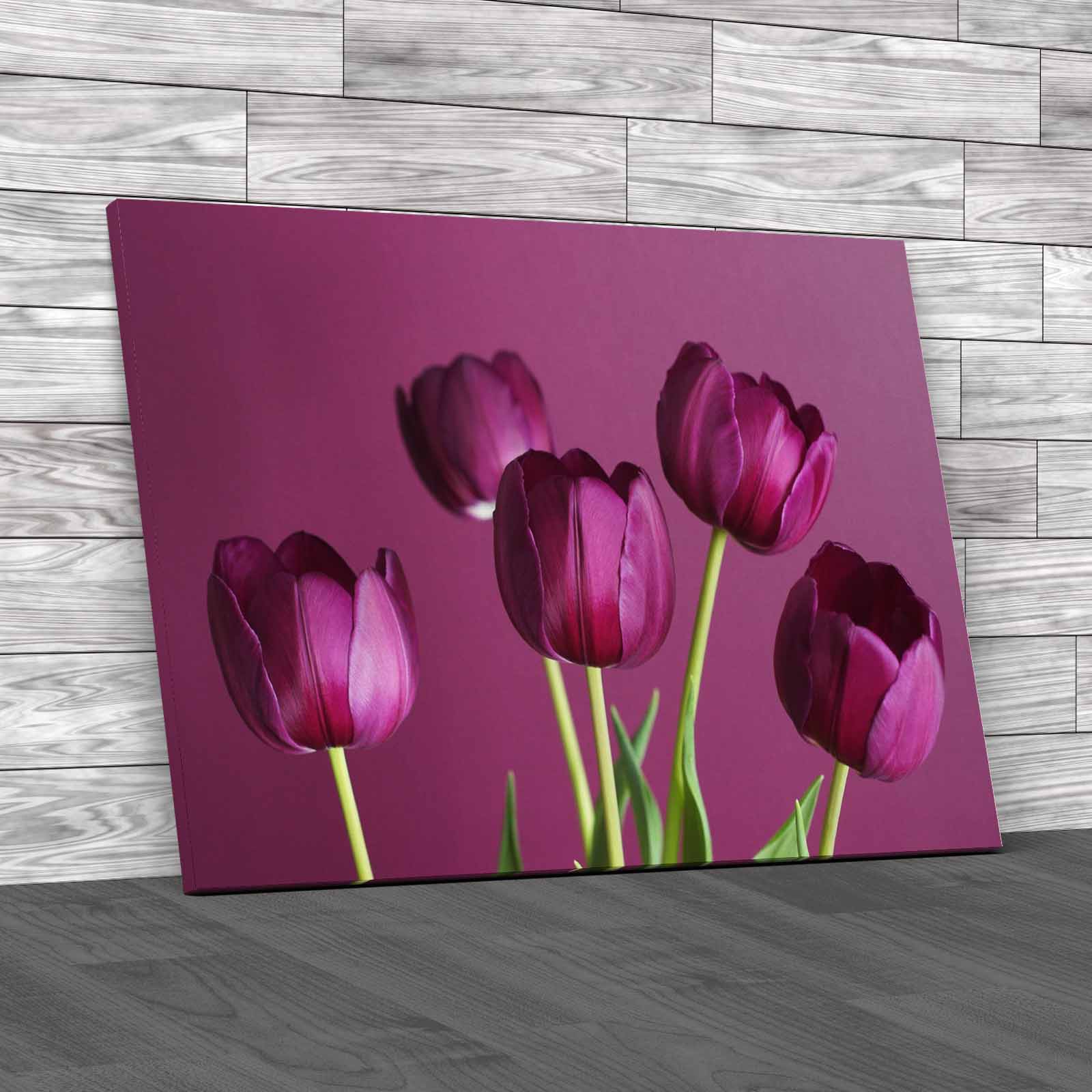 Stunning Tulip Bouquet For A Beautiful Floral Canvas Print Large Picture Wall