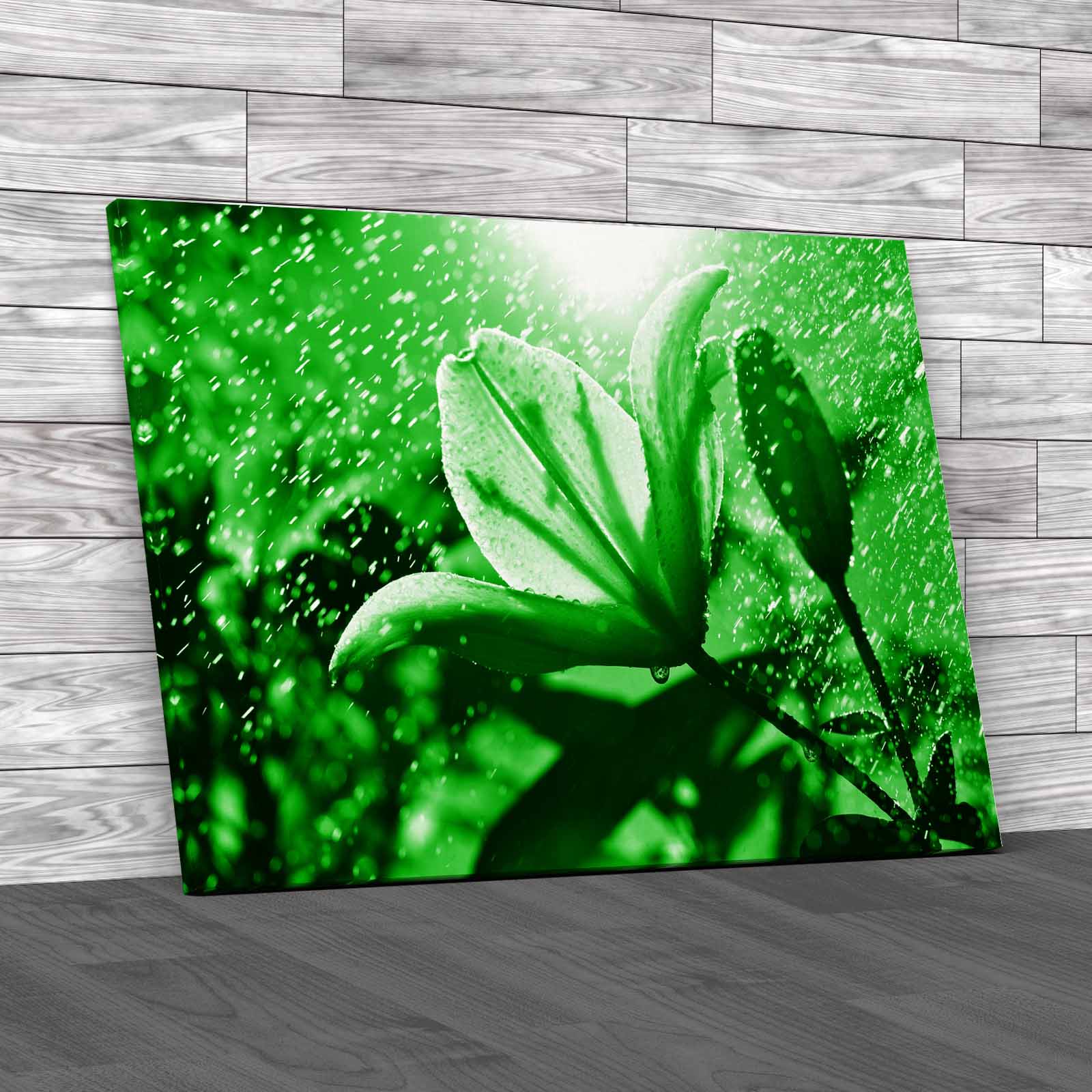 Rainkissed Lily A Beautiful Floral Delight Canvas Print Large Picture Wall Art