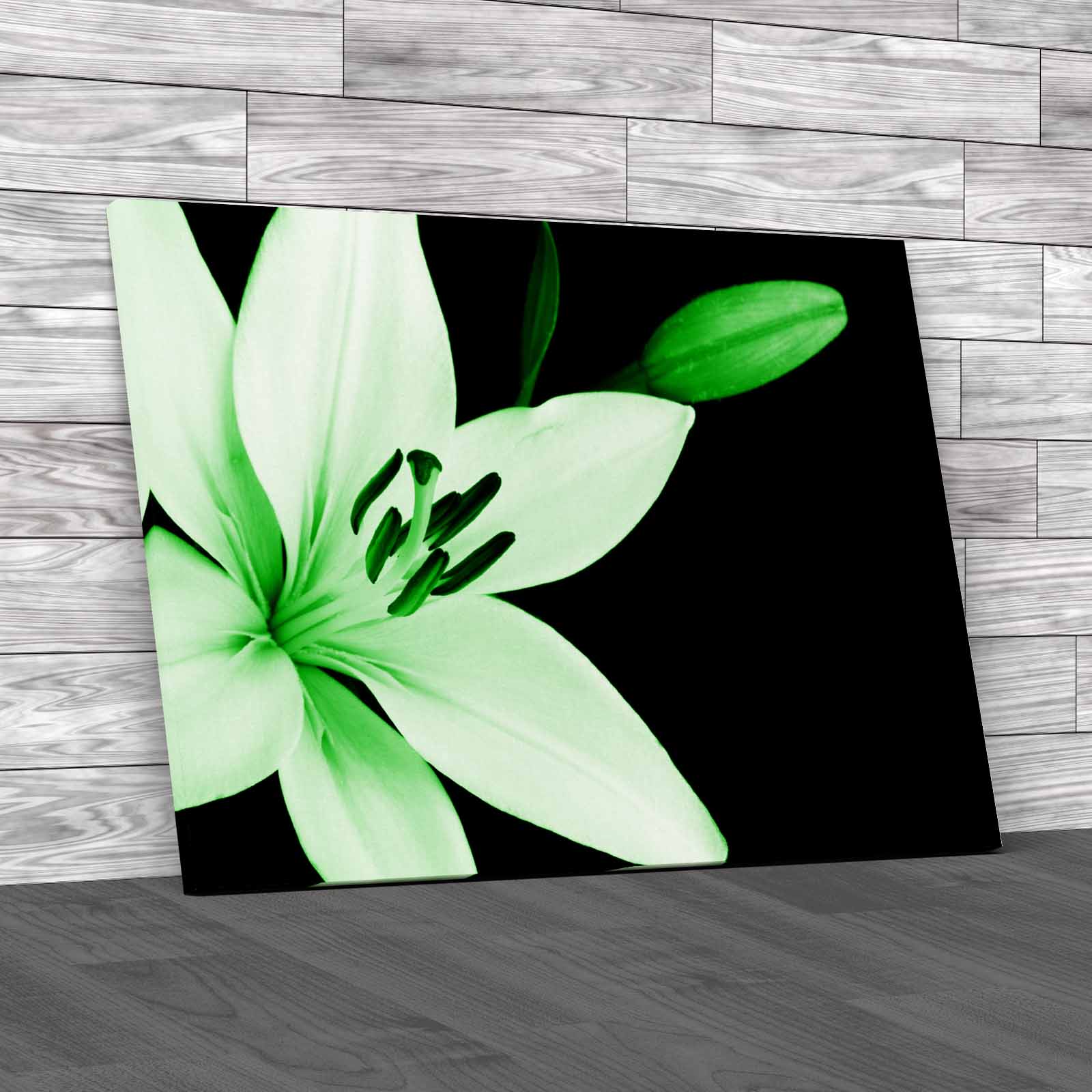 Captivating Lily Flower With Ample Copy Space Canvas Print Large Picture Wall
