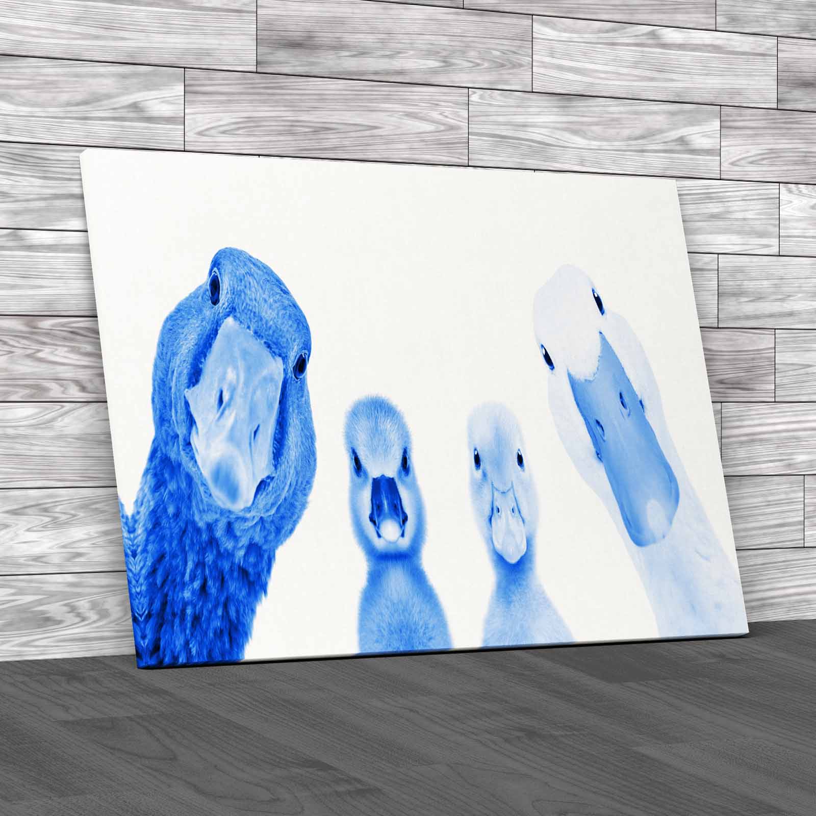Cute Goose Gosling Duck Duckling Animals Portrait Canvas Print Large Picture - Picture 5 of 12
