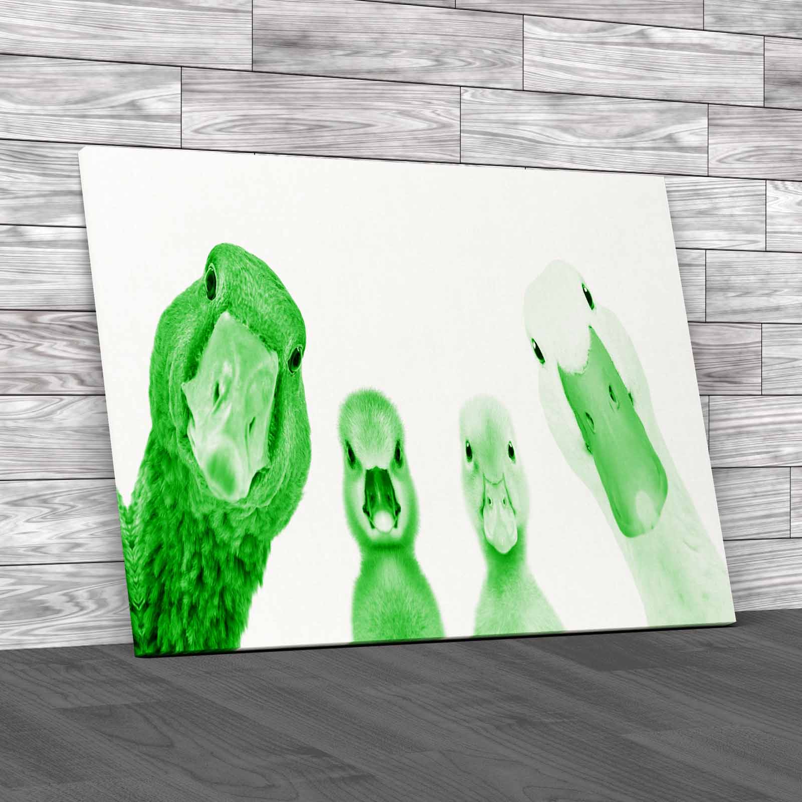 Cute Goose Gosling Duck Duckling Animals Portrait Canvas Print Large Picture - Picture 7 of 12