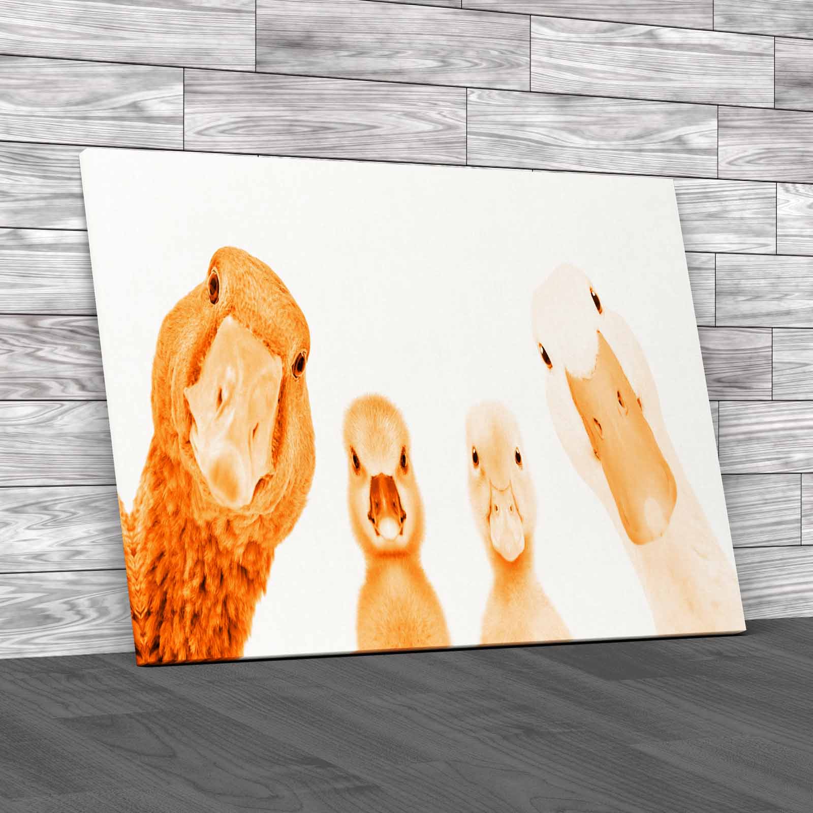 Cute Goose Gosling Duck Duckling Animals Portrait Canvas Print Large Picture - Picture 11 of 12