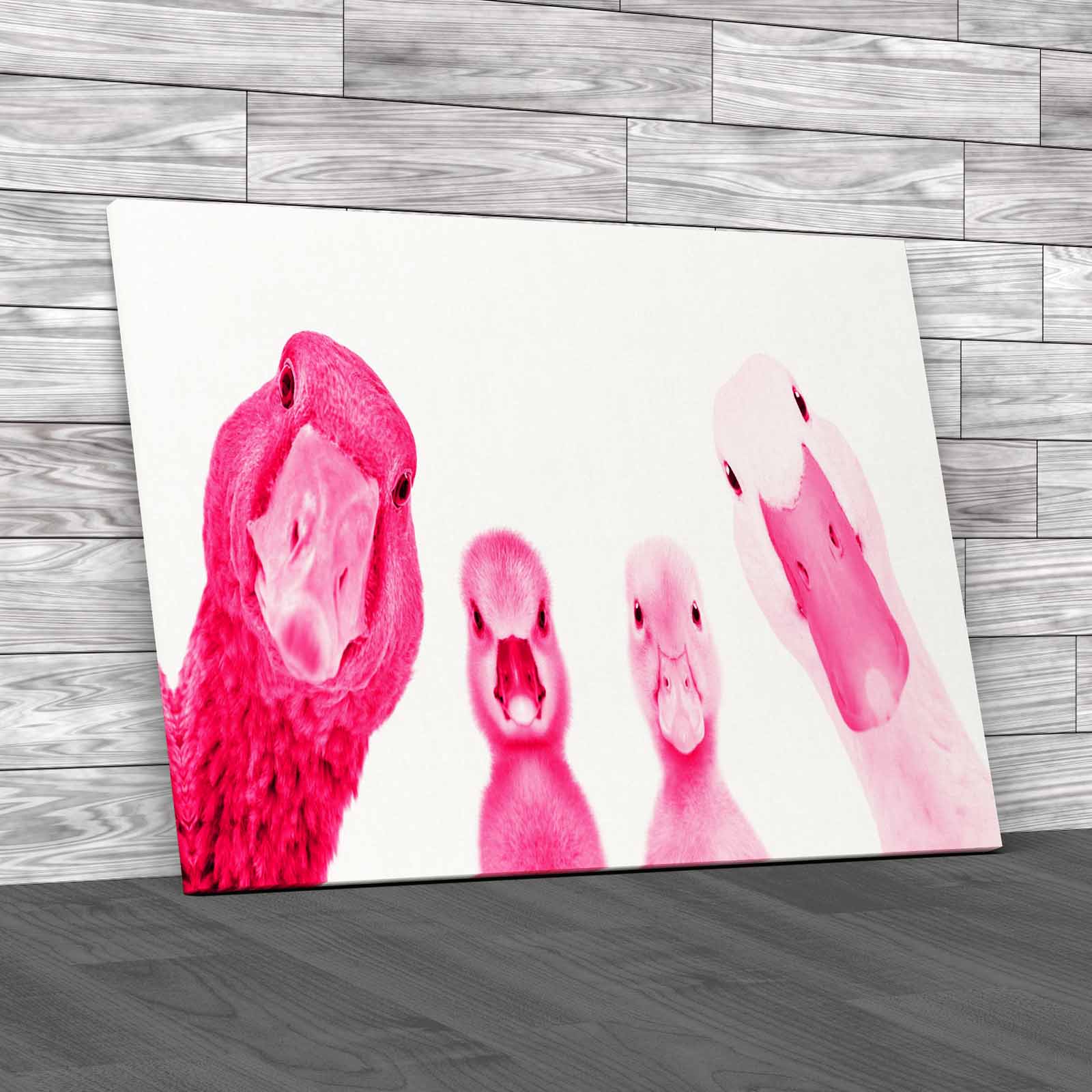 Cute Goose Gosling Duck Duckling Animals Portrait Canvas Print Large Picture - Picture 9 of 12