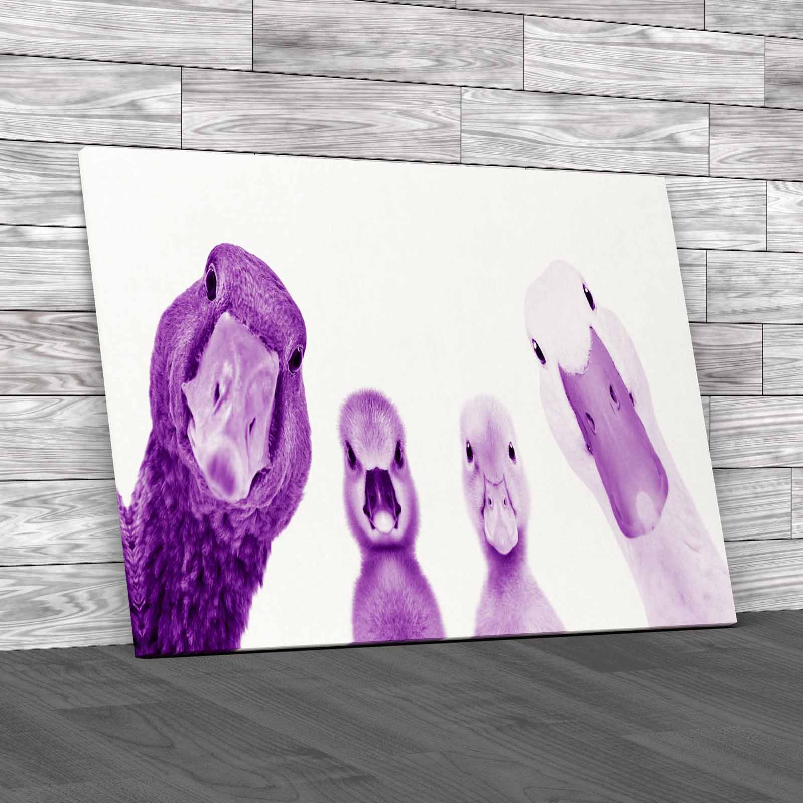 Cute Goose Gosling Duck Duckling Animals Portrait Canvas Print Large Picture - Picture 8 of 12