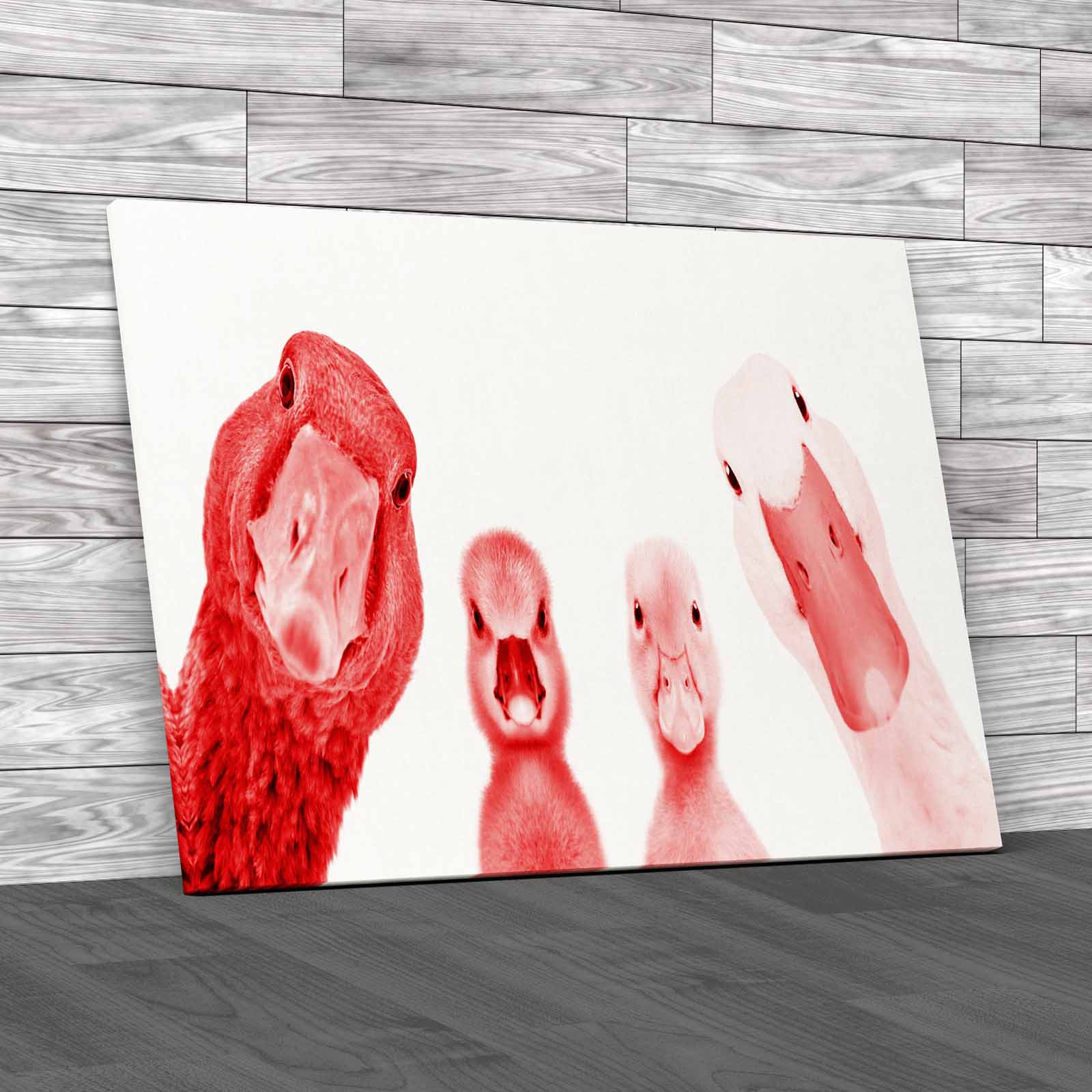 Cute Goose Gosling Duck Duckling Animals Portrait Canvas Print Large Picture - Picture 4 of 12