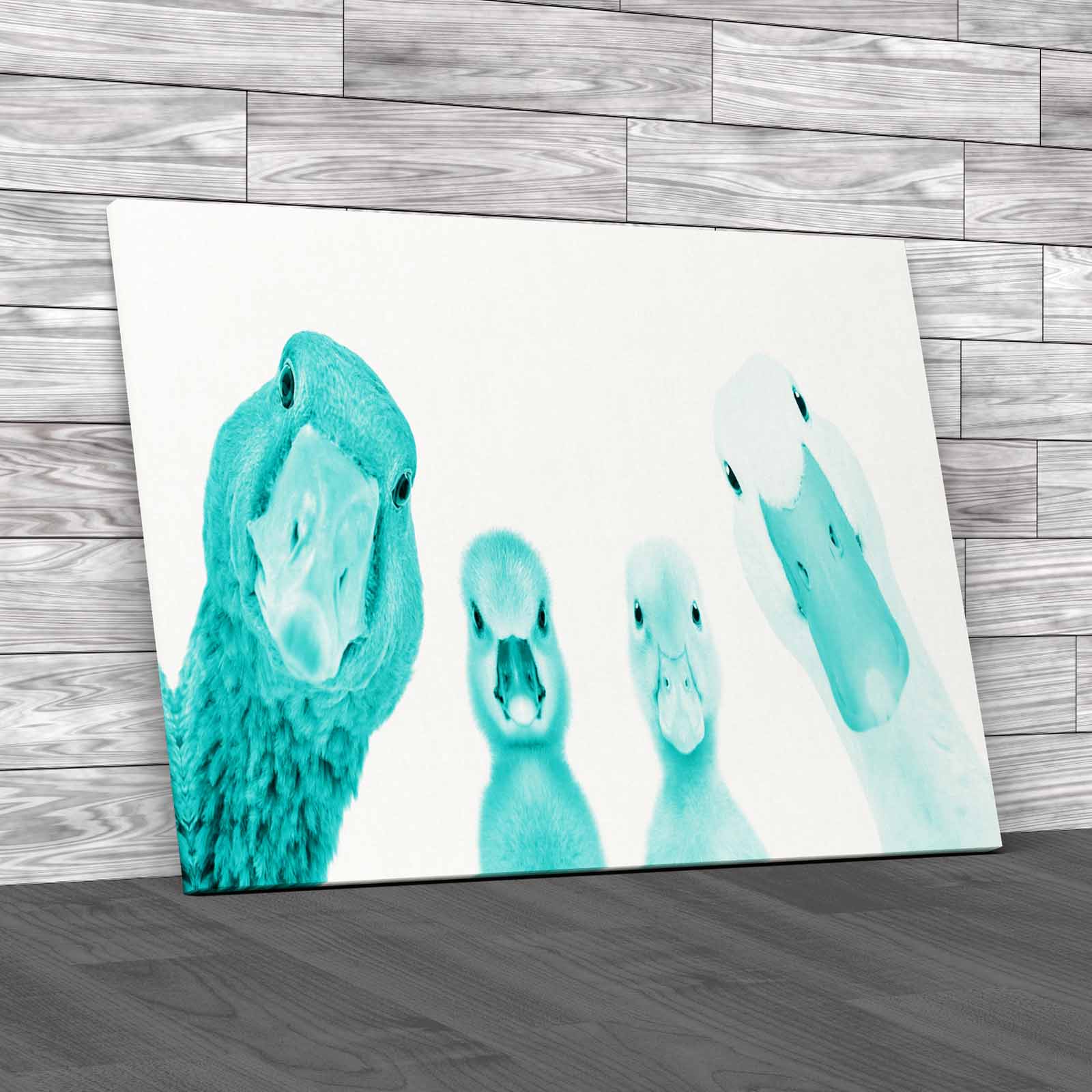 Cute Goose Gosling Duck Duckling Animals Portrait Canvas Print Large Picture - Picture 6 of 12