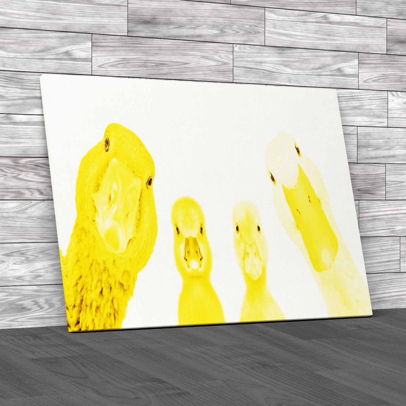 Cute Goose Gosling Duck Duckling Animals Portrait Canvas Print Large Picture - Picture 10 of 12