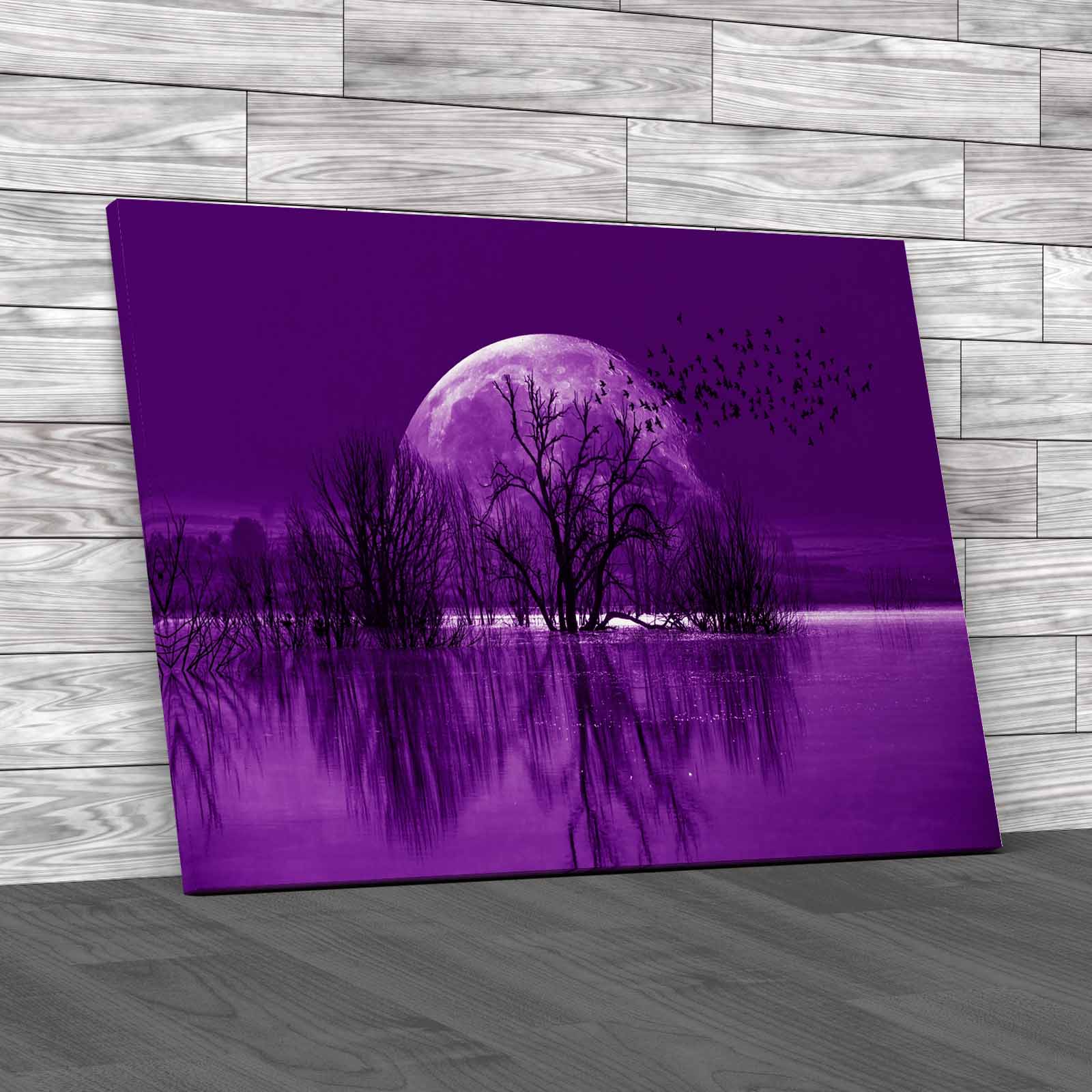 Silhouette Birds Full Moon Lone Dead Tree Nasa Canvas Print Large Picture Wall - Picture 8 of 12