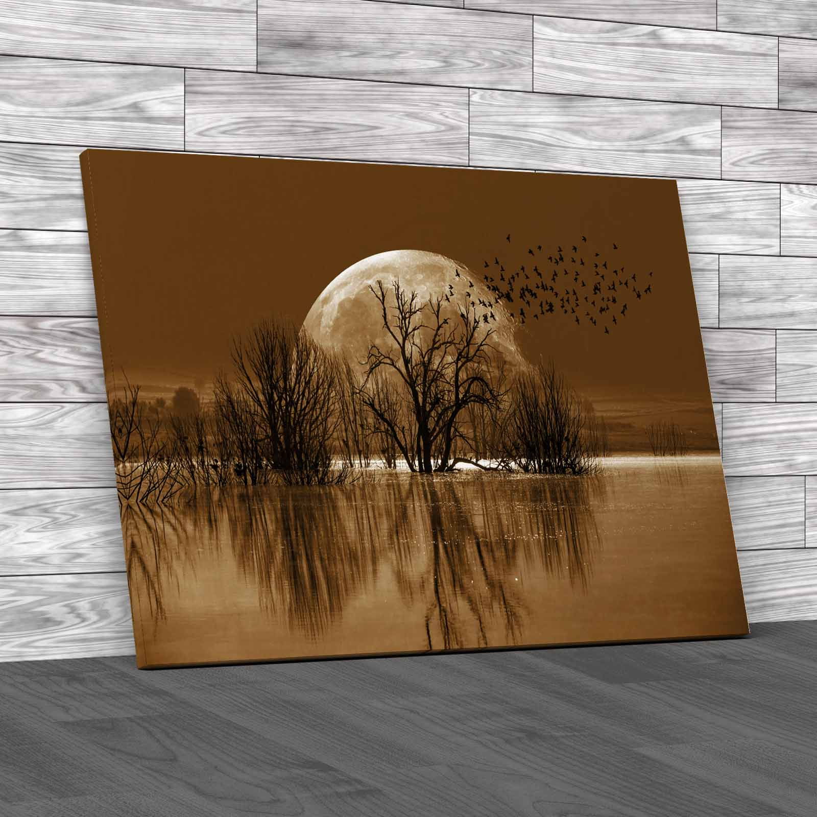 Silhouette Birds Full Moon Lone Dead Tree Nasa Canvas Print Large Picture Wall - Picture 12 of 12