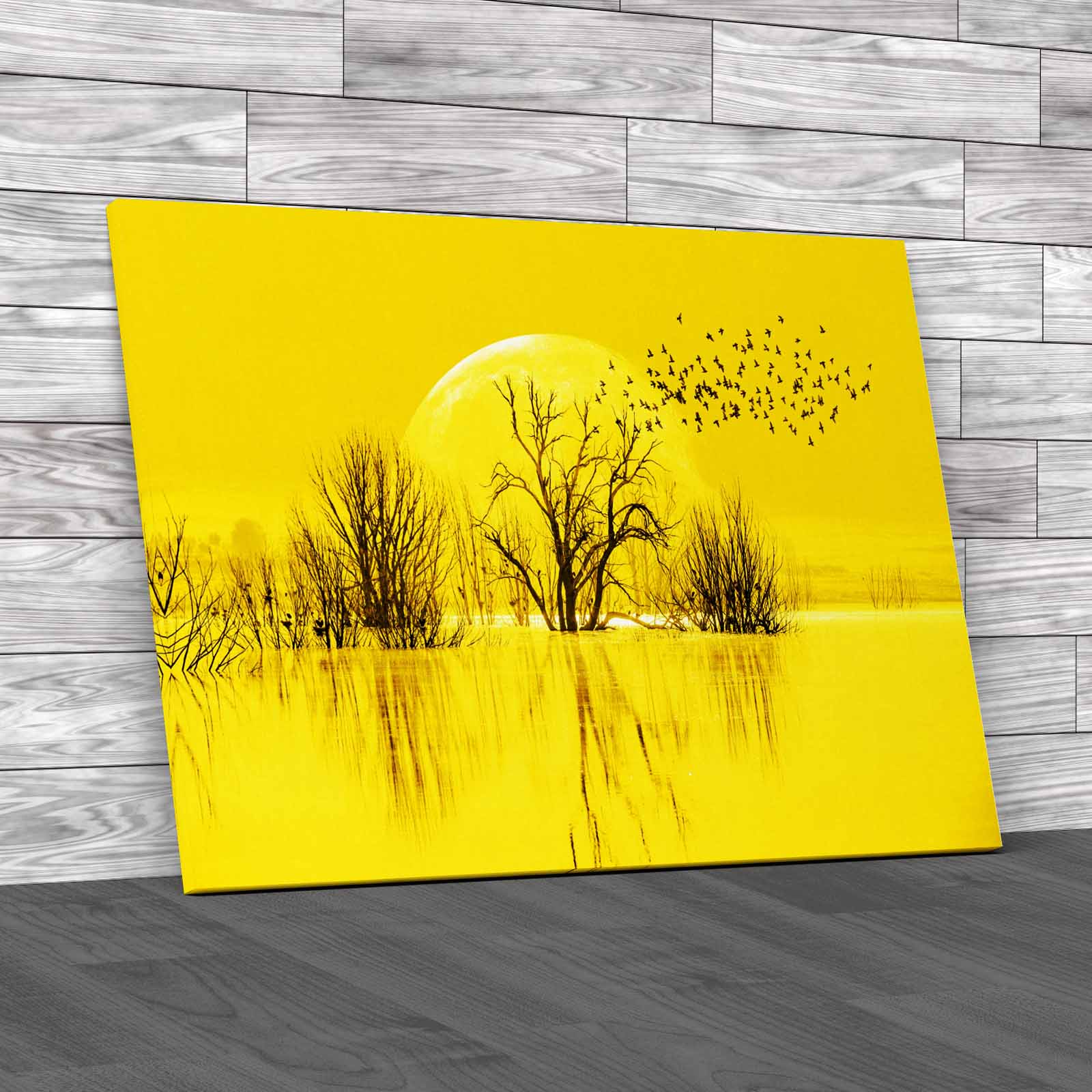 Silhouette Birds Full Moon Lone Dead Tree Nasa Canvas Print Large Picture Wall - Picture 10 of 12