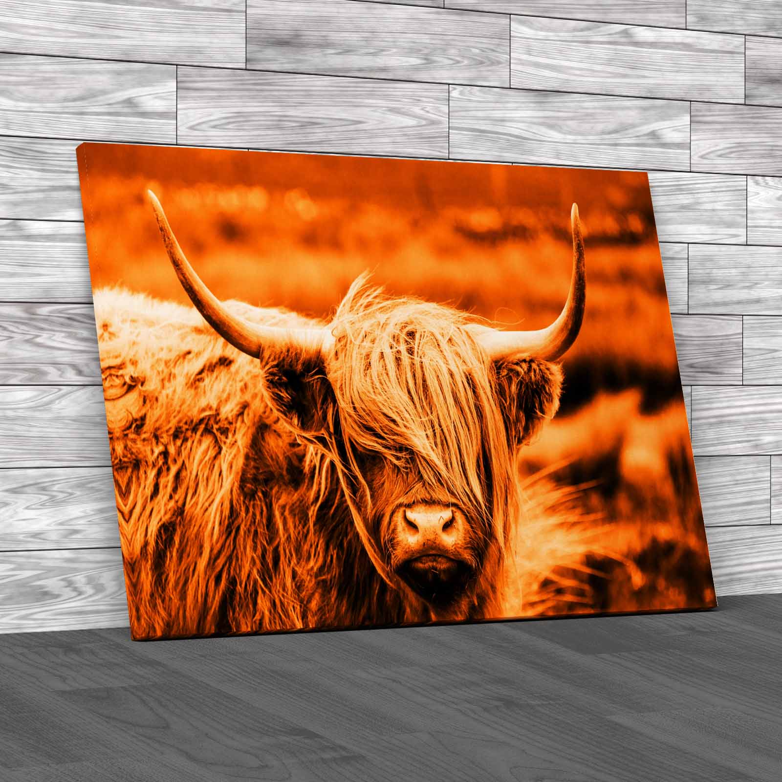 Scottish Highland Cow Majestic And Large Canvas Print Large Picture Wall Art - Picture 11 of 12