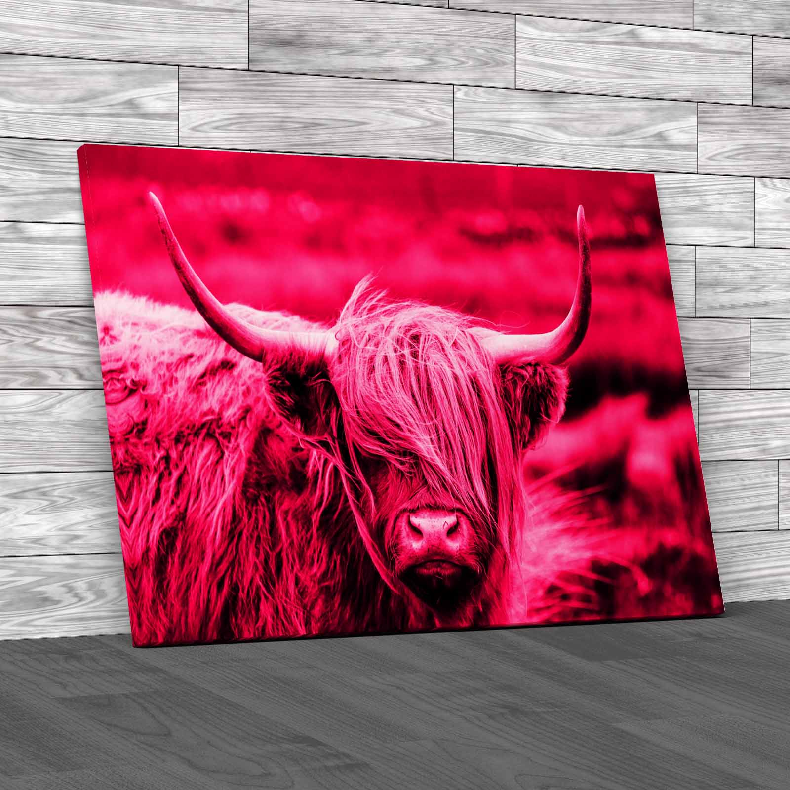 Scottish Highland Cow Majestic And Large Canvas Print Large Picture Wall Art - Picture 9 of 12