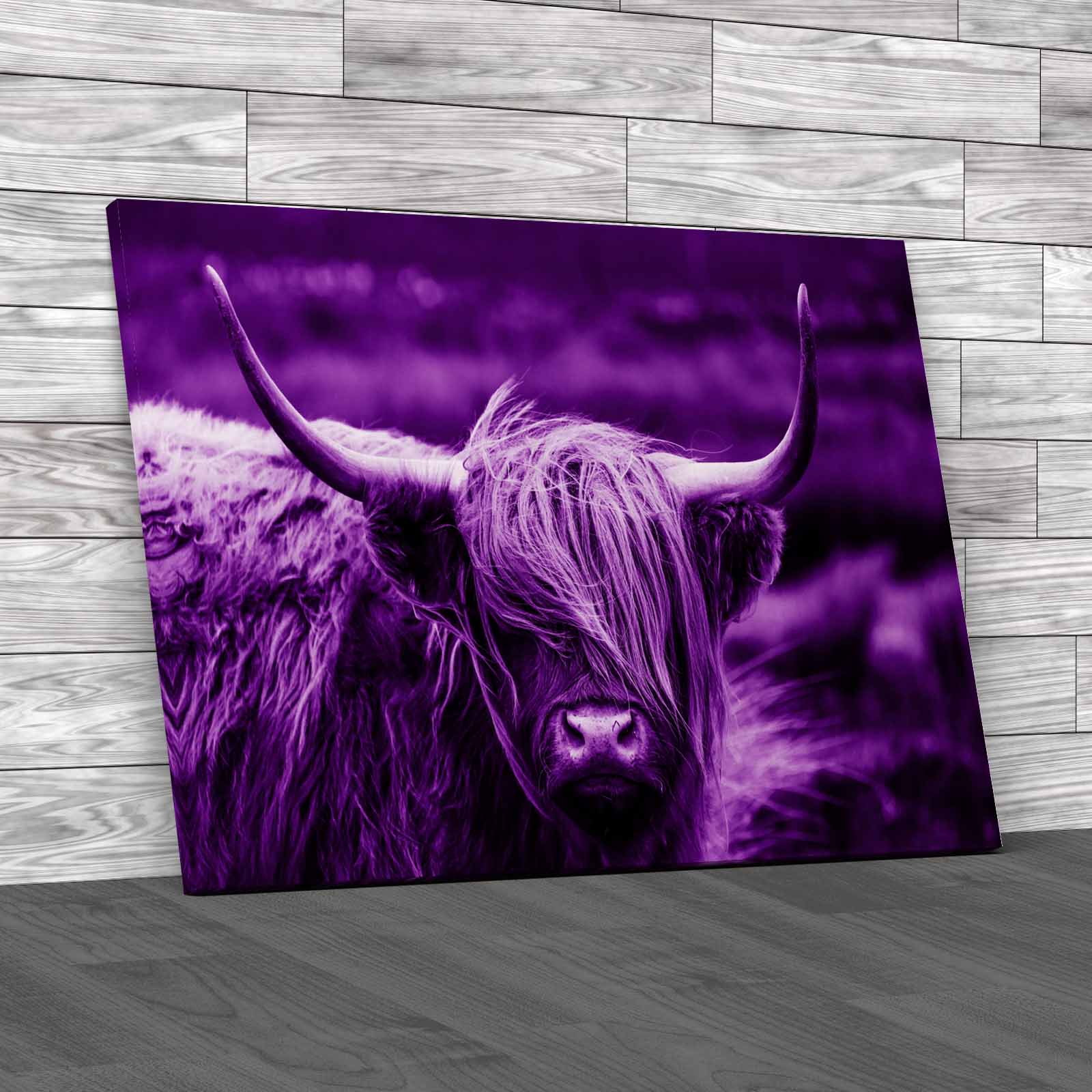 Scottish Highland Cow Majestic And Large Canvas Print Large Picture Wall Art - Picture 8 of 12