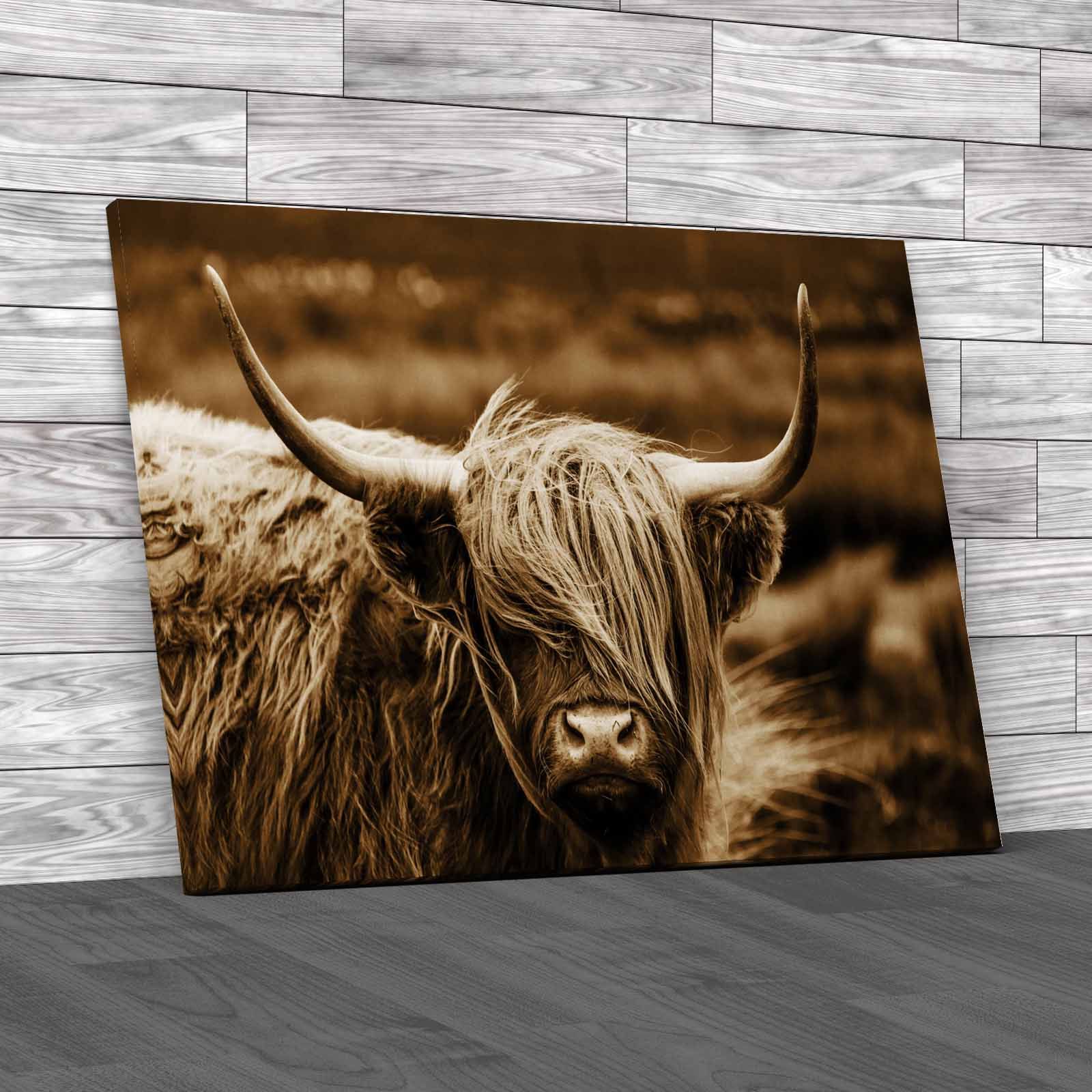 Scottish Highland Cow Majestic And Large Canvas Print Large Picture Wall Art - Picture 12 of 12