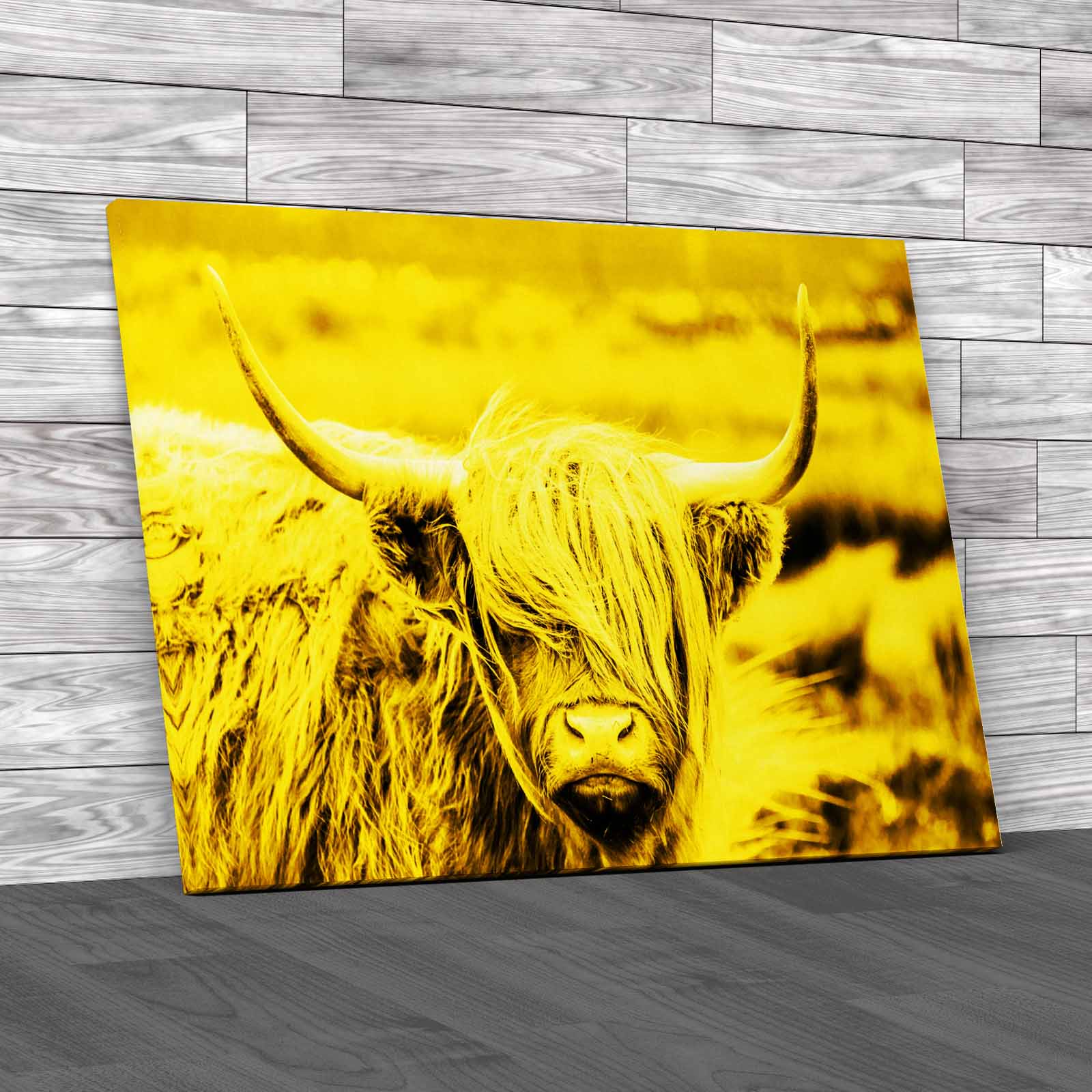Scottish Highland Cow Majestic And Large Canvas Print Large Picture Wall Art - Picture 10 of 12