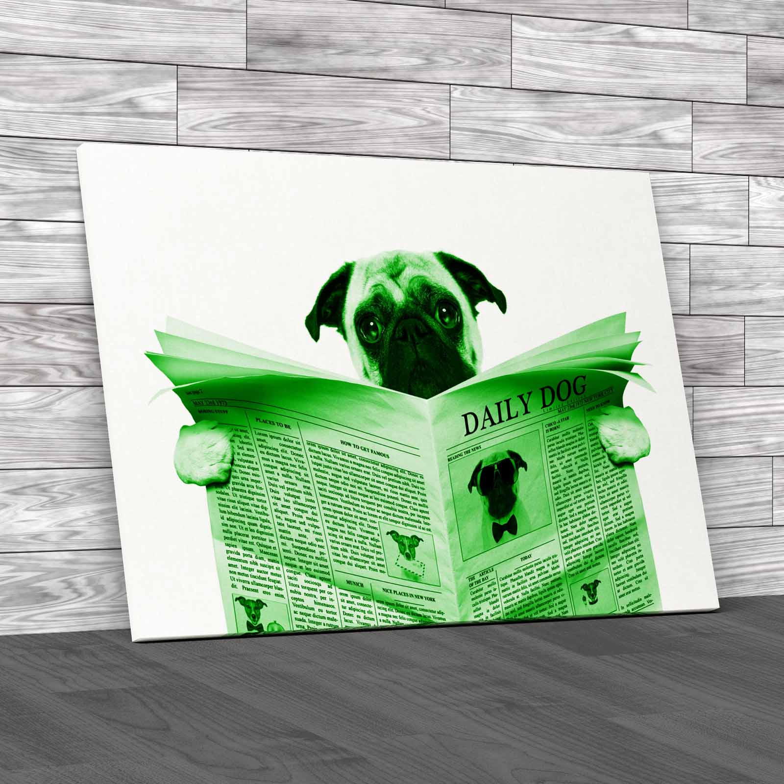 Pug Dog Reading Newspaper Tet Seat Animal Isolated Canvas Print Large Picture - Picture 7 of 12