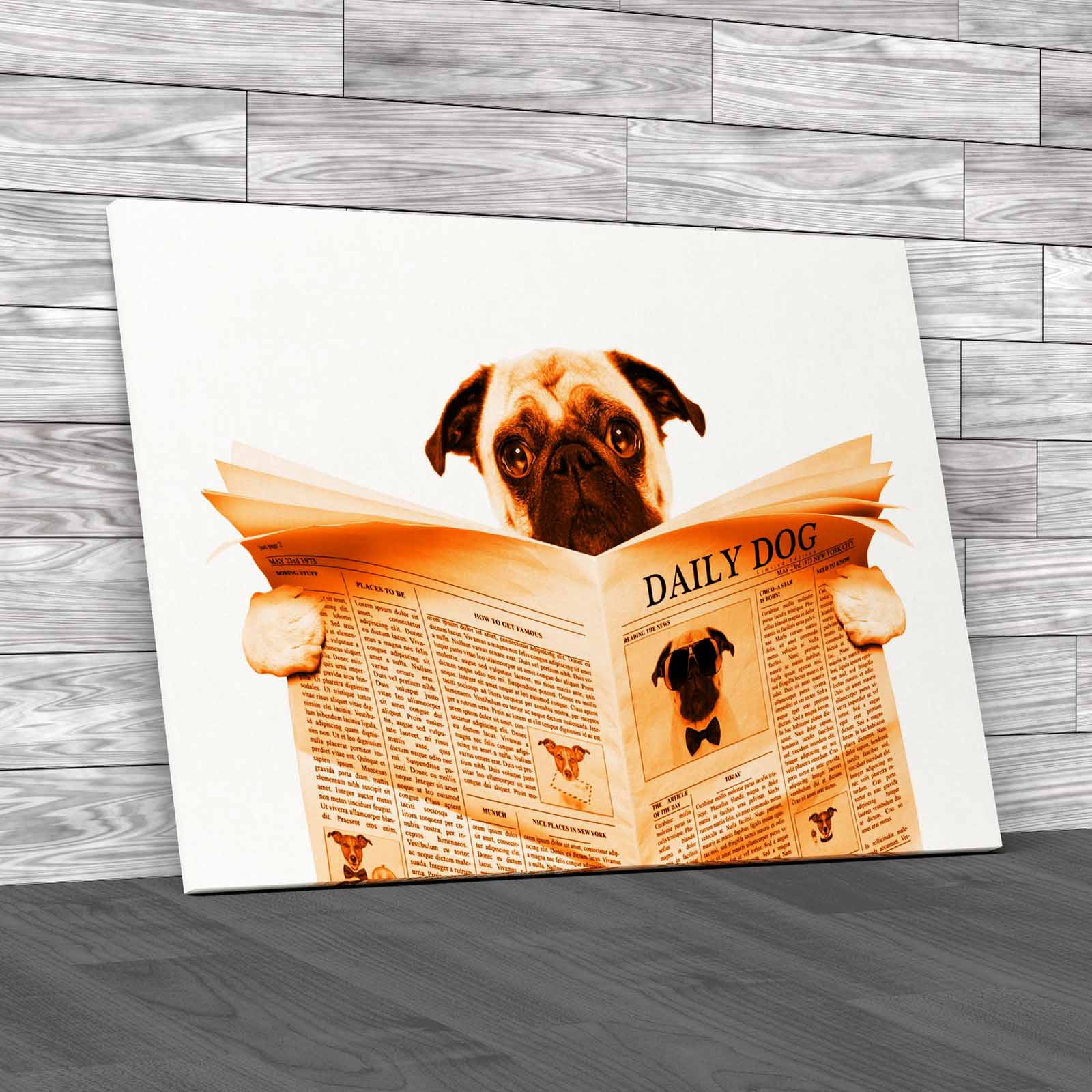Pug Dog Reading Newspaper Tet Seat Animal Isolated Canvas Print Large Picture - Picture 11 of 12