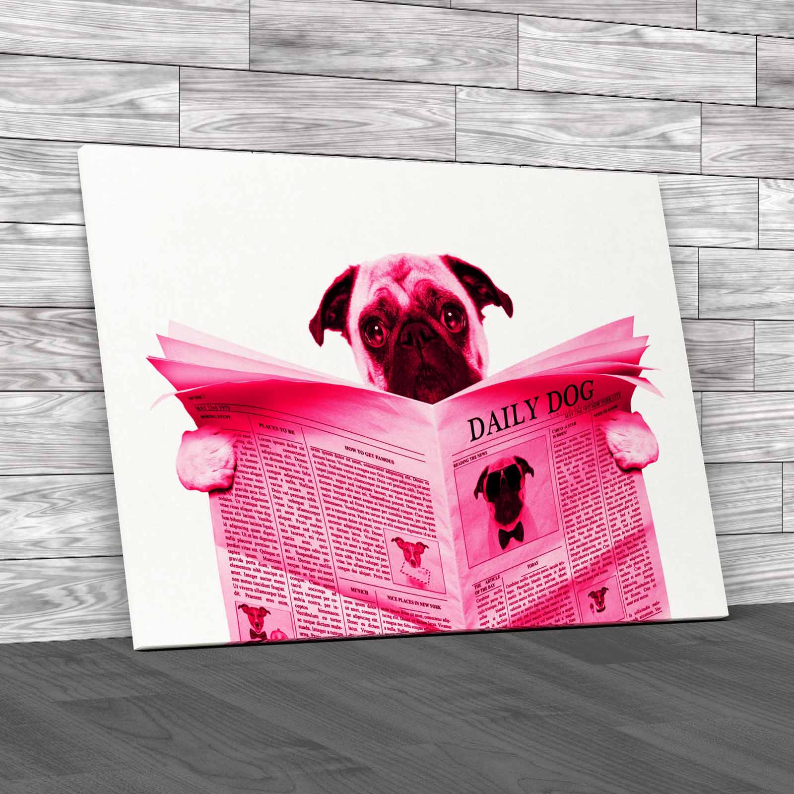 Pug Dog Reading Newspaper Tet Seat Animal Isolated Canvas Print Large Picture - Picture 9 of 12