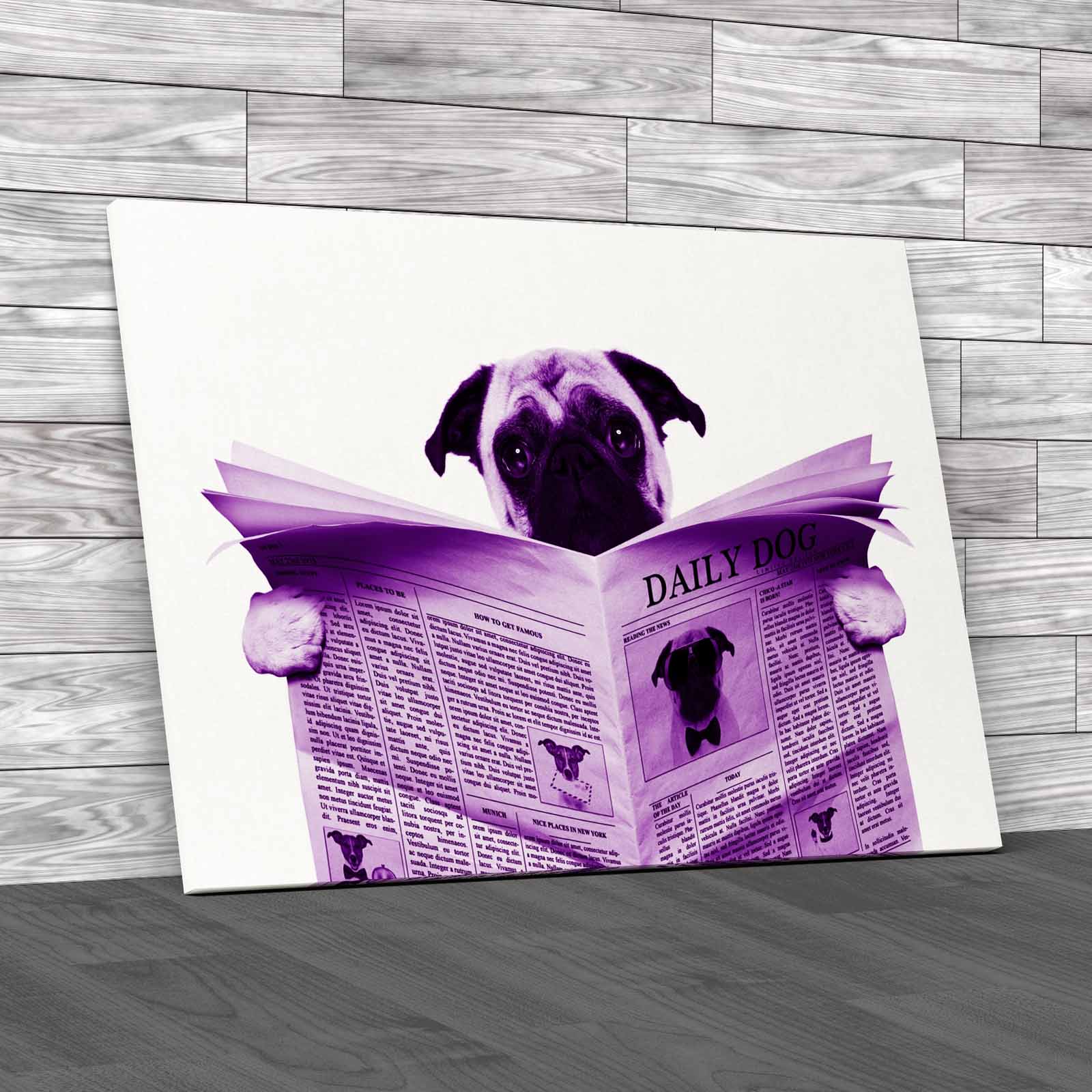 Pug Dog Reading Newspaper Tet Seat Animal Isolated Canvas Print Large Picture - Picture 8 of 12