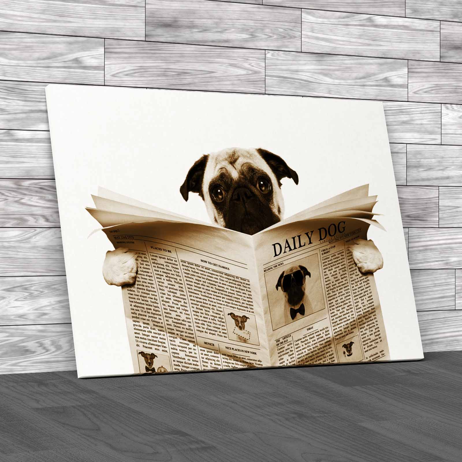 Pug Dog Reading Newspaper Tet Seat Animal Isolated Canvas Print Large Picture - Picture 12 of 12