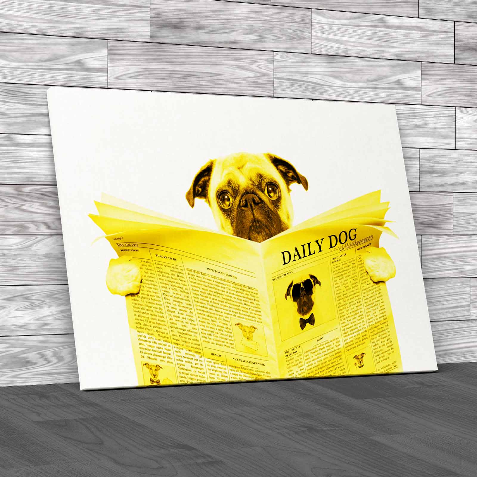 Pug Dog Reading Newspaper Tet Seat Animal Isolated Canvas Print Large Picture - Picture 10 of 12