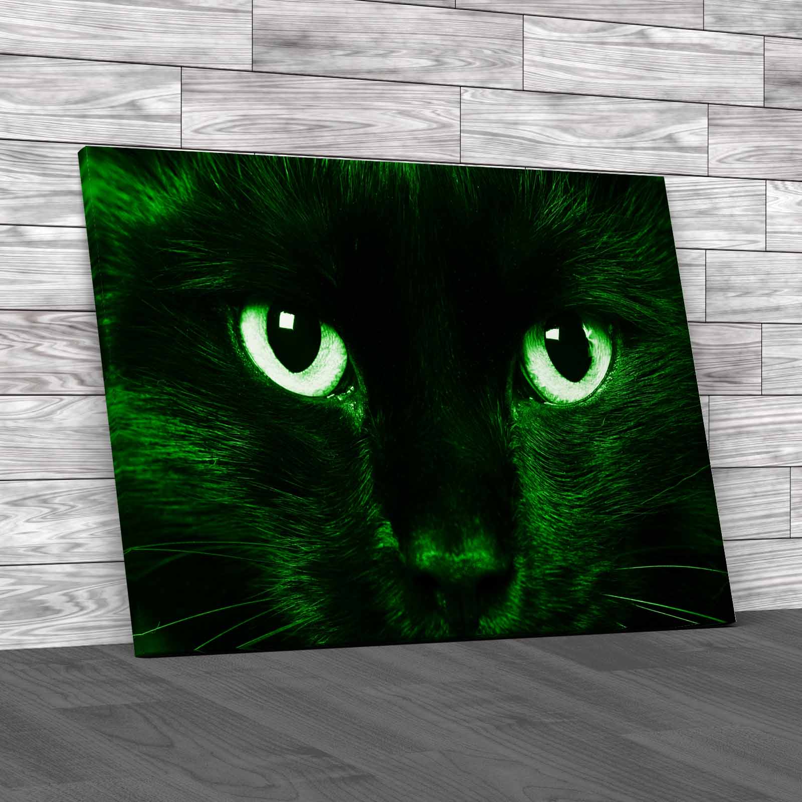 Gorgeous Cat Eyes Closeup Of Domestic Animal Canvas Print Large Picture Wall Art - Picture 7 of 12