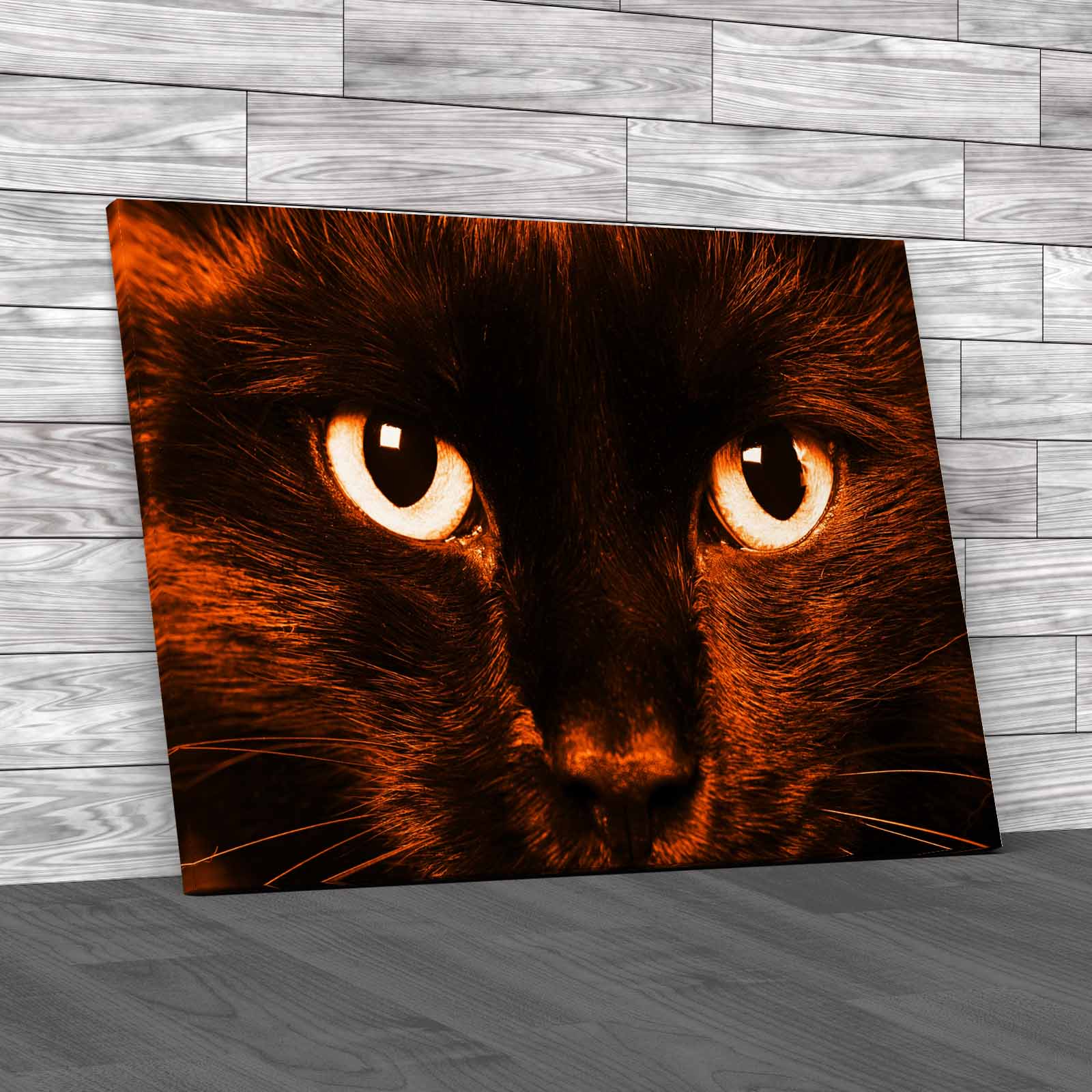 Gorgeous Cat Eyes Closeup Of Domestic Animal Canvas Print Large Picture Wall Art - Picture 11 of 12