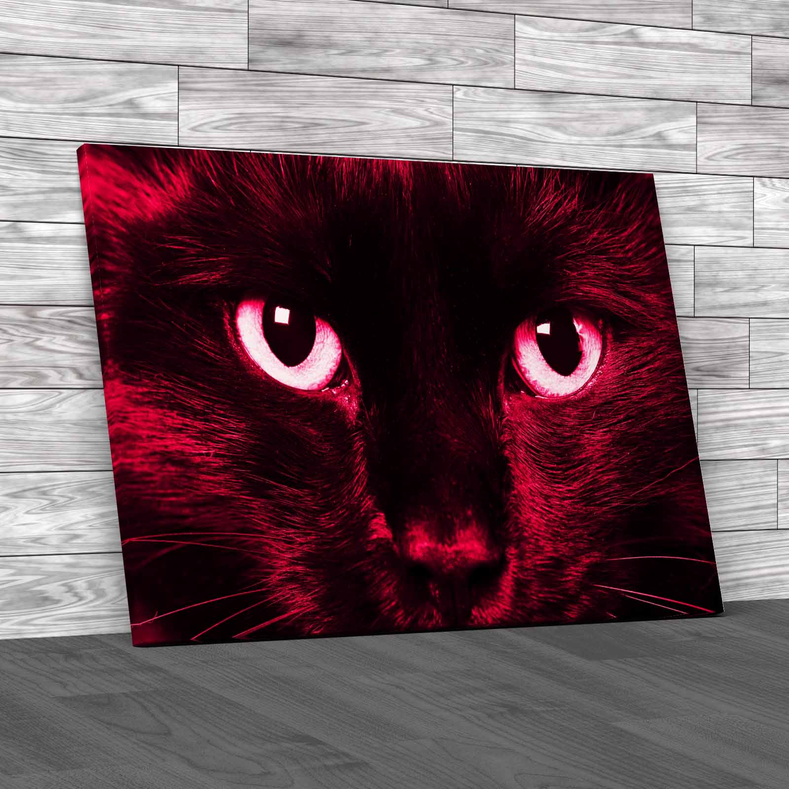 Gorgeous Cat Eyes Closeup Of Domestic Animal Canvas Print Large Picture Wall Art - Picture 9 of 12