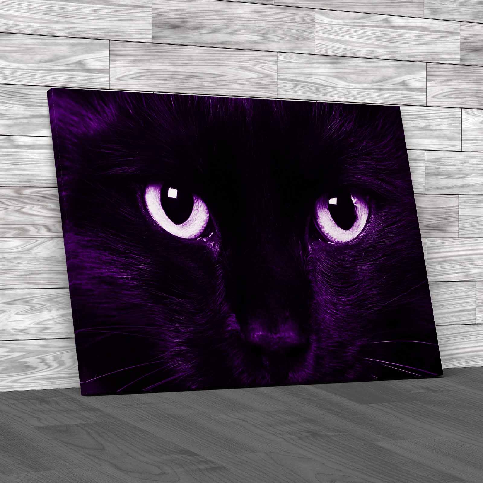 Gorgeous Cat Eyes Closeup Of Domestic Animal Canvas Print Large Picture Wall Art - Picture 8 of 12