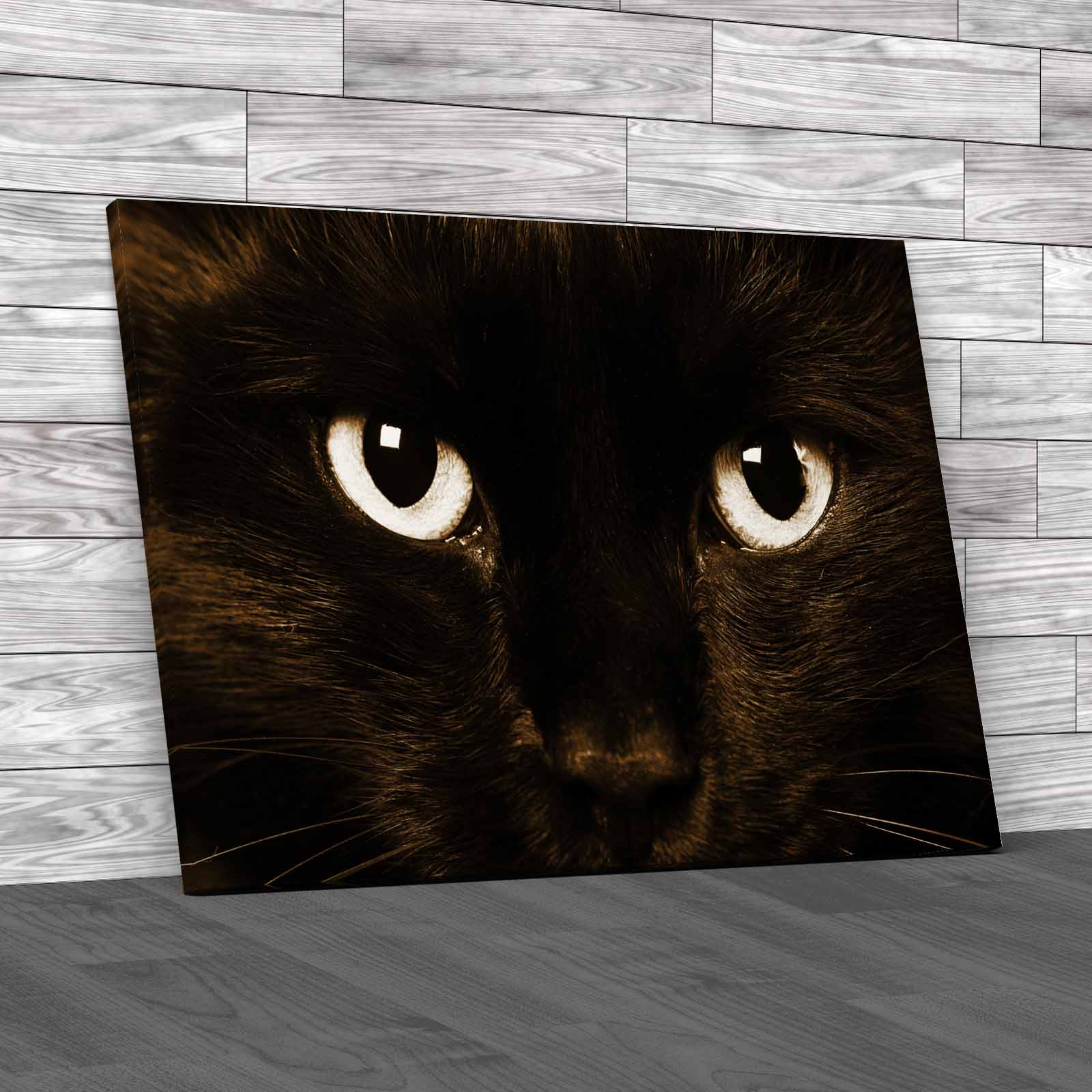 Gorgeous Cat Eyes Closeup Of Domestic Animal Canvas Print Large Picture Wall Art - Picture 12 of 12